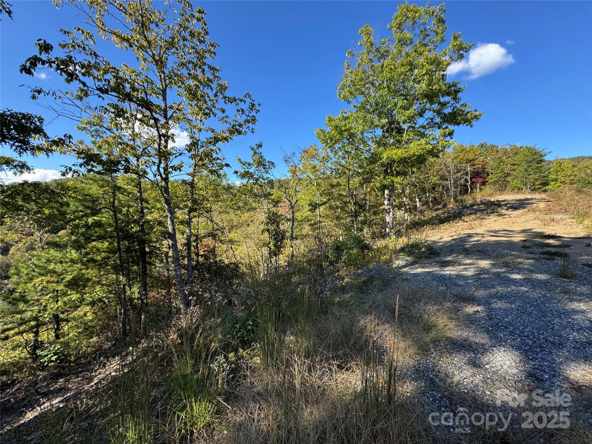 931 Mountainside Drive - Photo 14