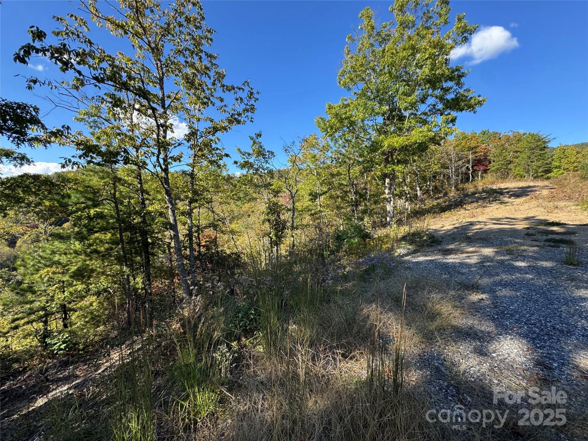 931 Mountainside Drive - Photo 17