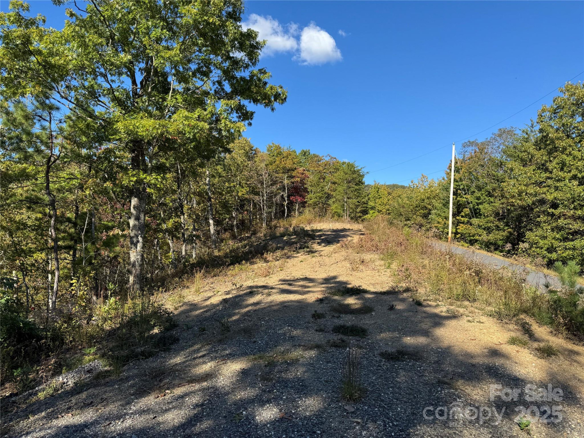 931 Mountainside Drive - Photo 3