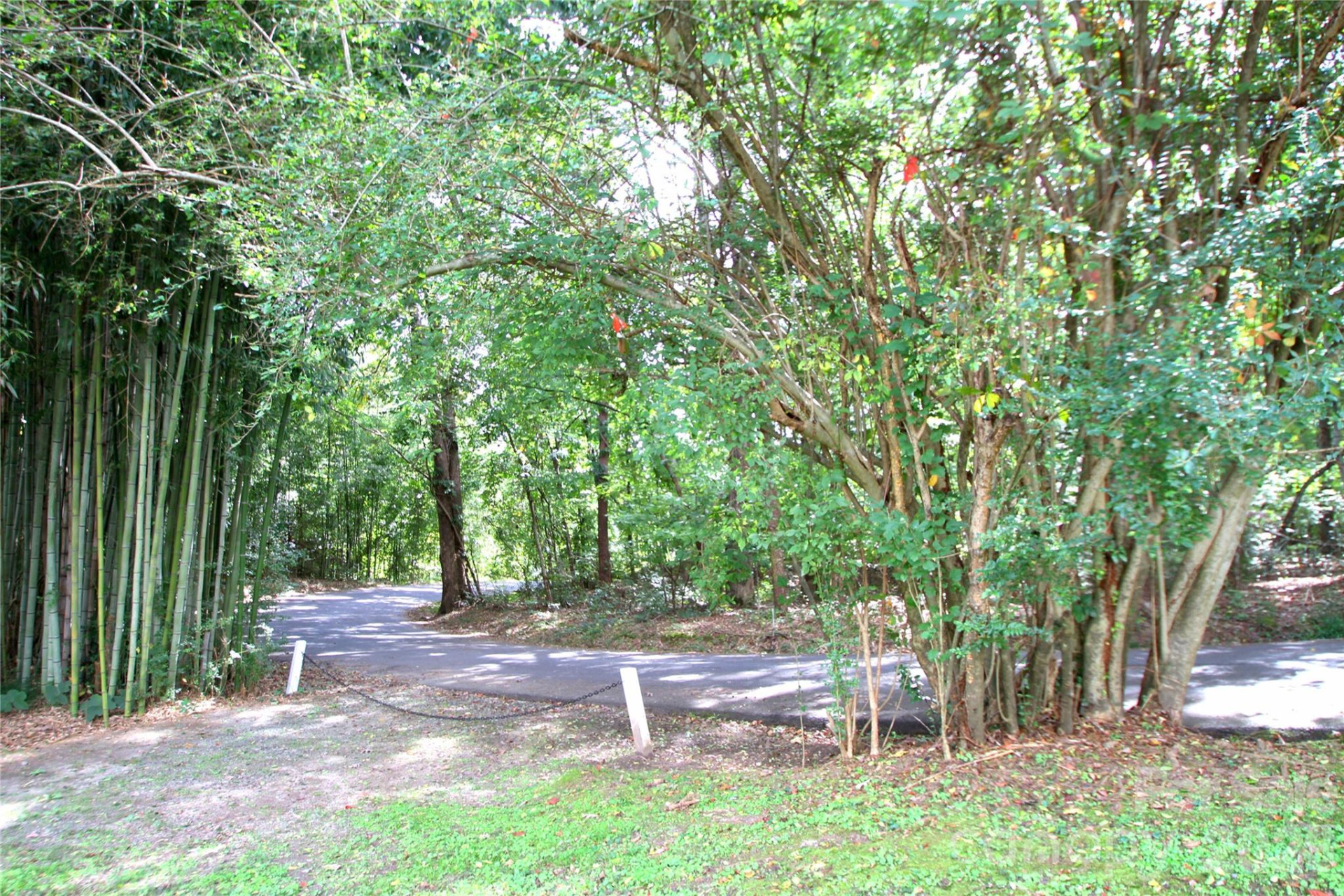 289 Carson Street - Photo 45