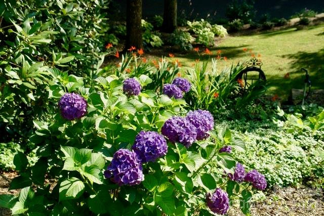 295 Laurel Ridge Drive - Photo 46