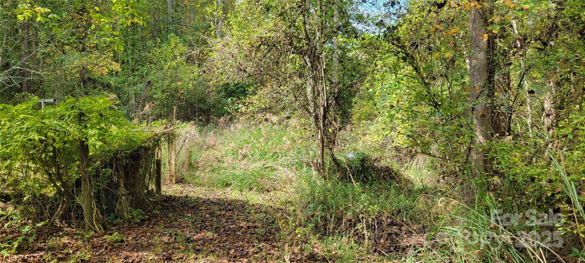 310 Woods Ammons Road - Photo 6