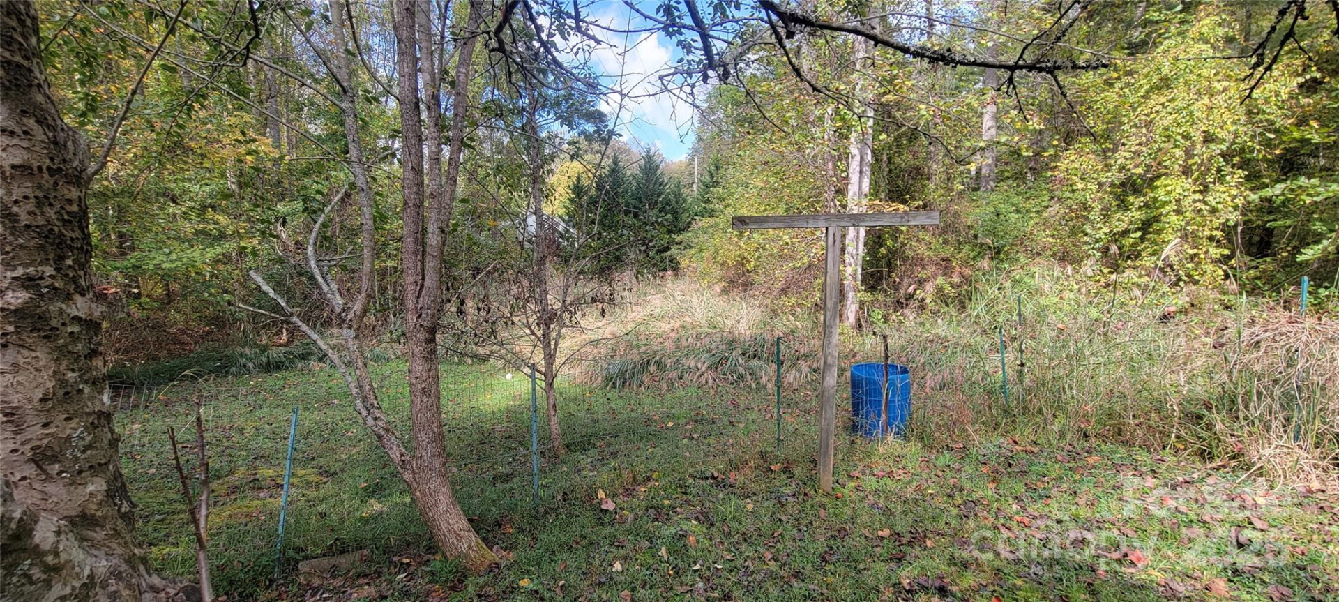 310 Woods Ammons Road - Photo 9