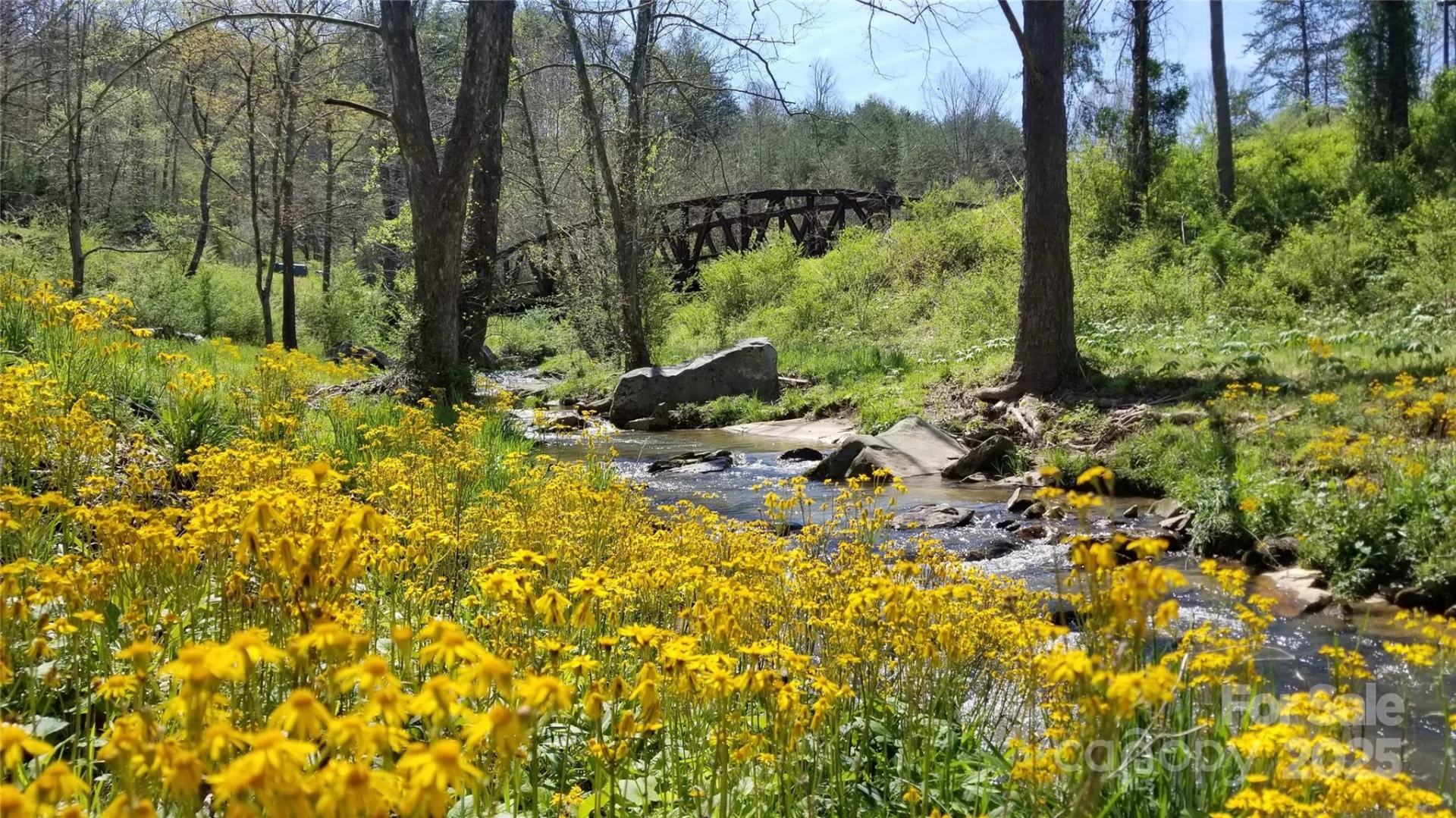 215 Old Macedonia Road - Photo 24