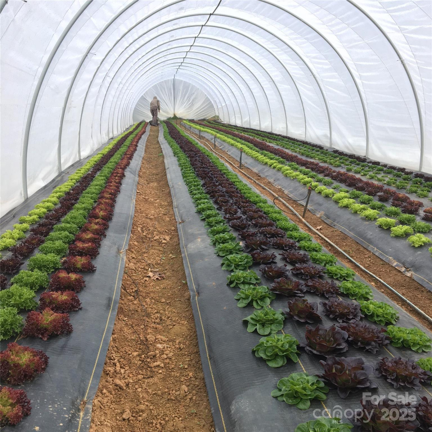 150 Old Macedonia Road - Photo 13