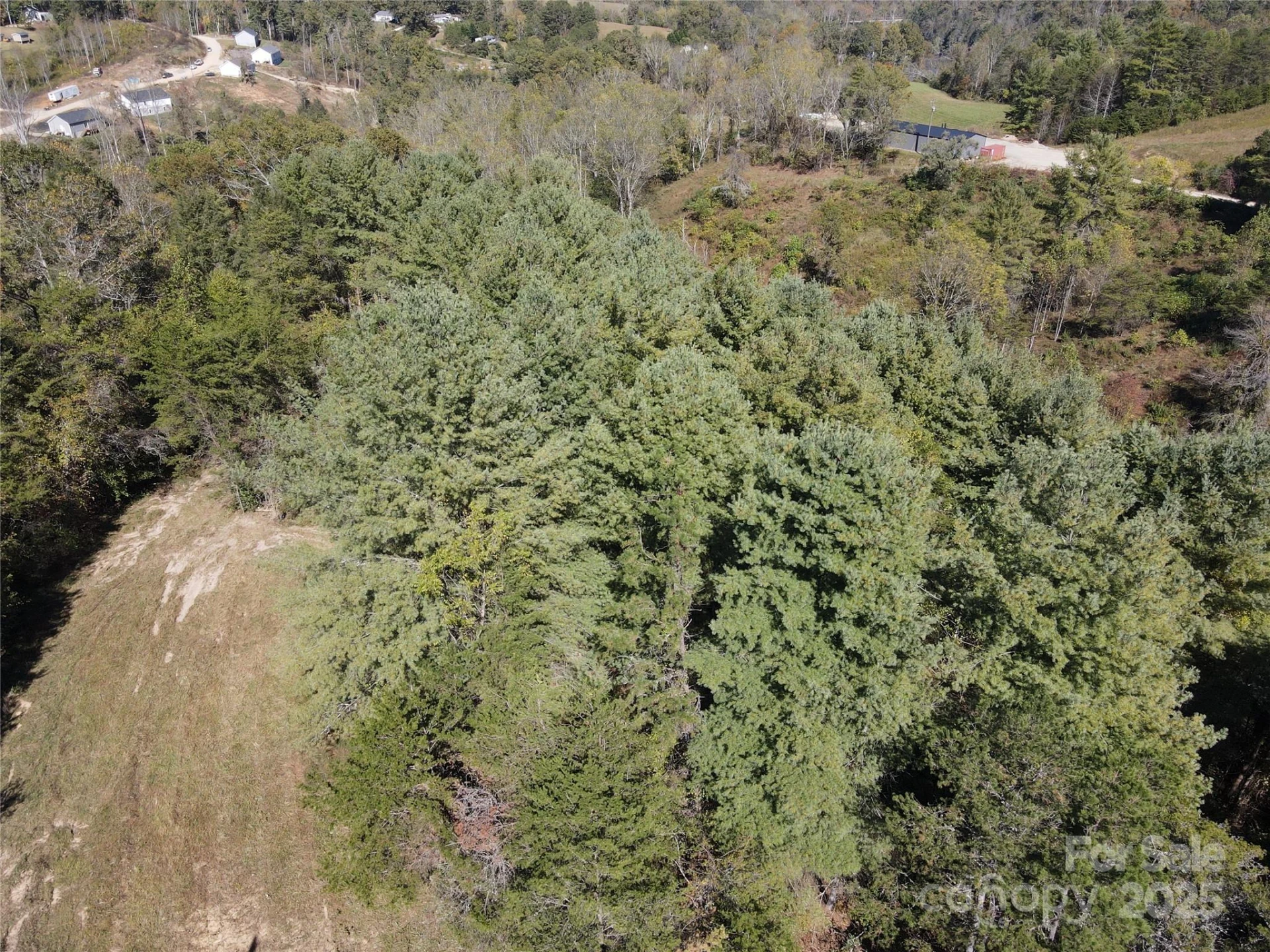 150 Old Macedonia Road - Photo 3