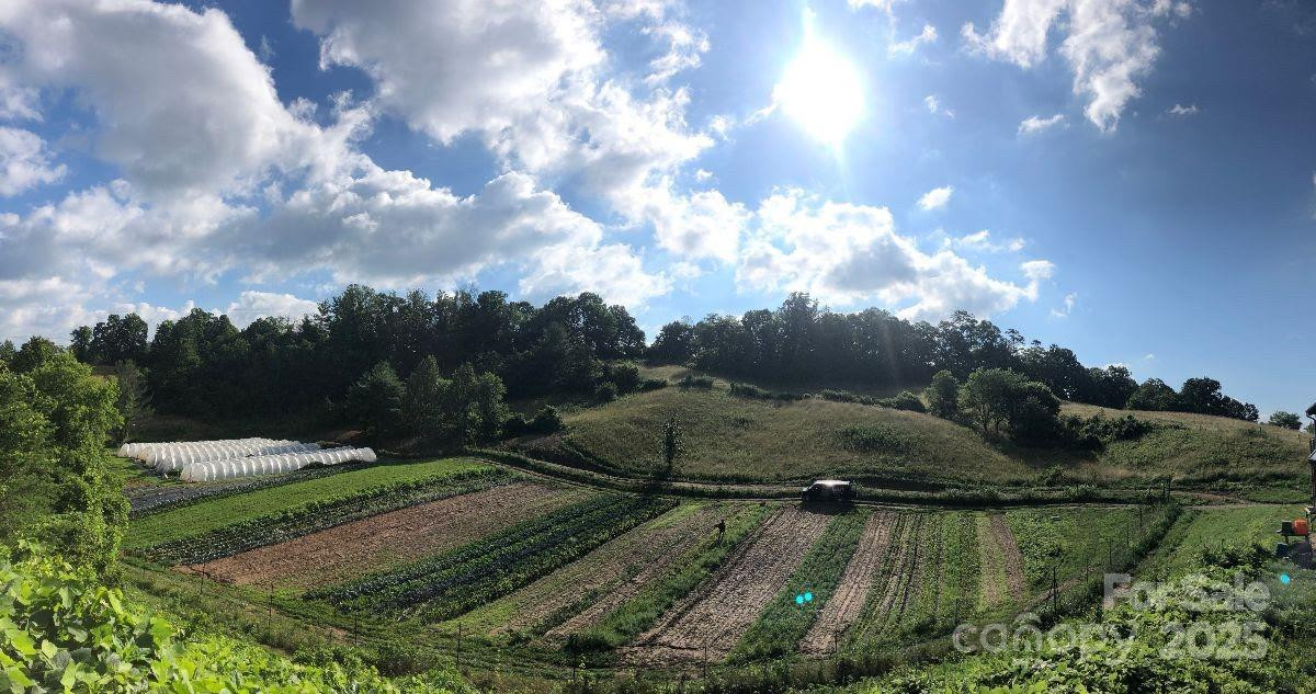 150 Old Macedonia Road - Photo 9