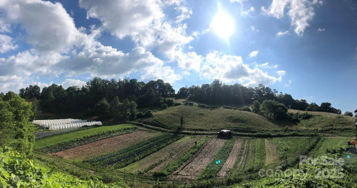 150 Old Macedonia Road - Photo 9