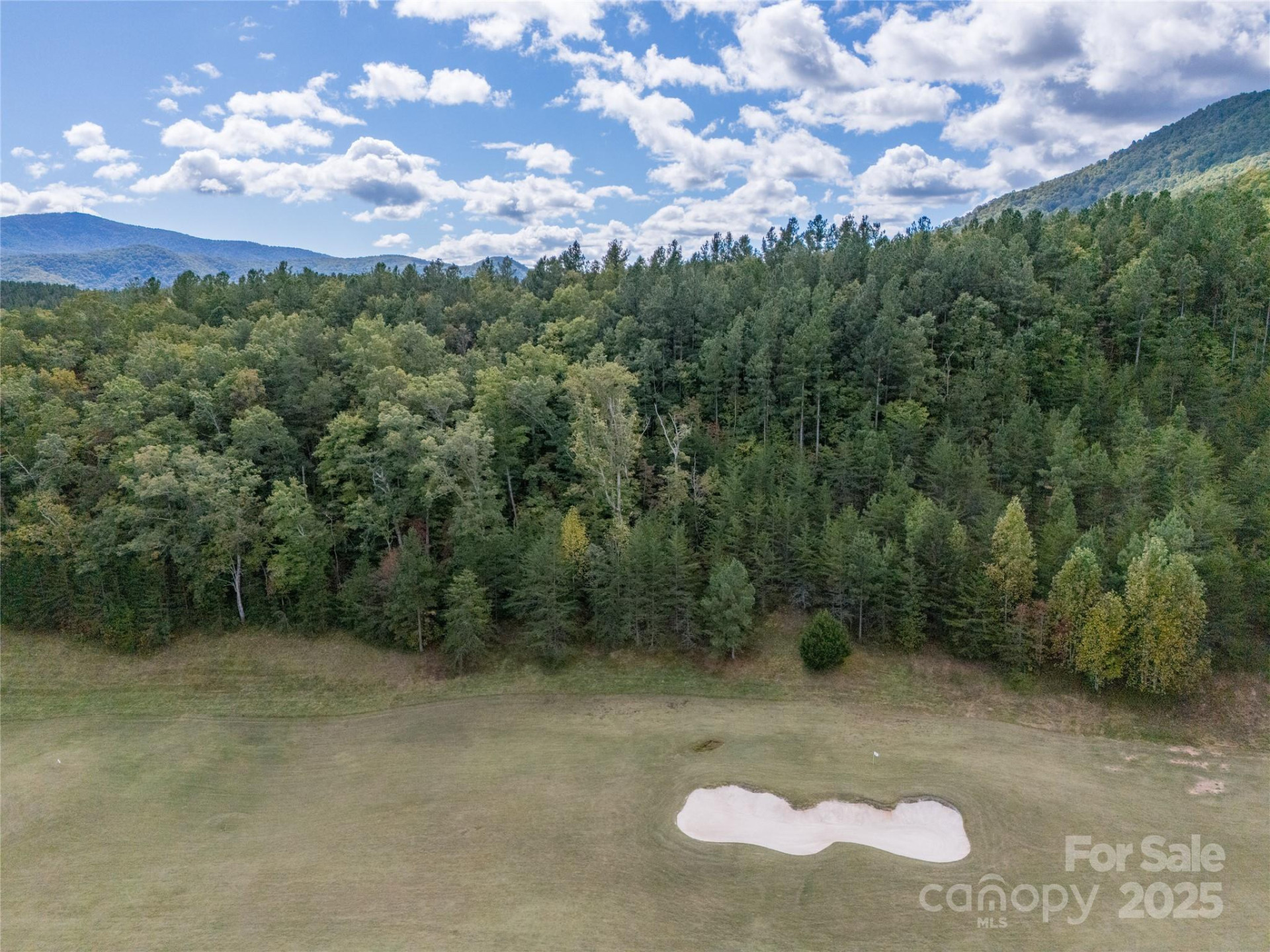 000 Deep Gap Farm Drive #2021 - Photo 11