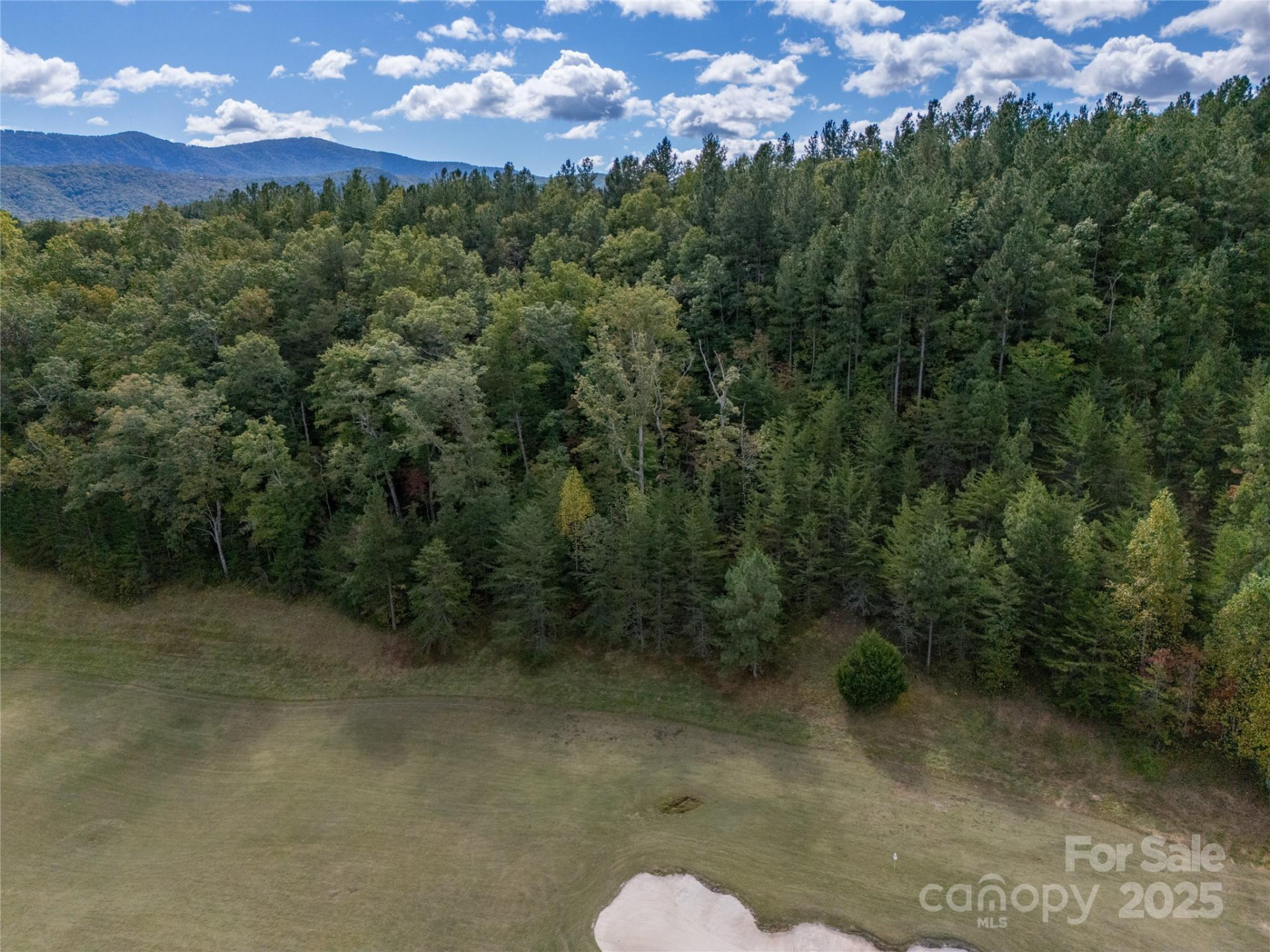 000 Deep Gap Farm Drive #2021 - Photo 14