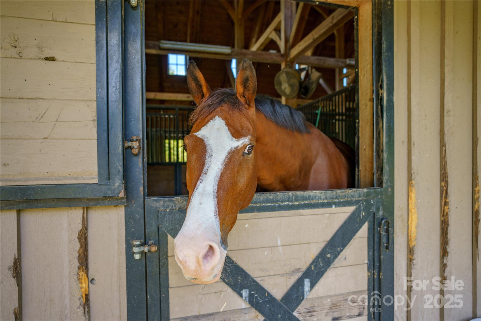 000 Nottingham Drive #237 - Photo 11