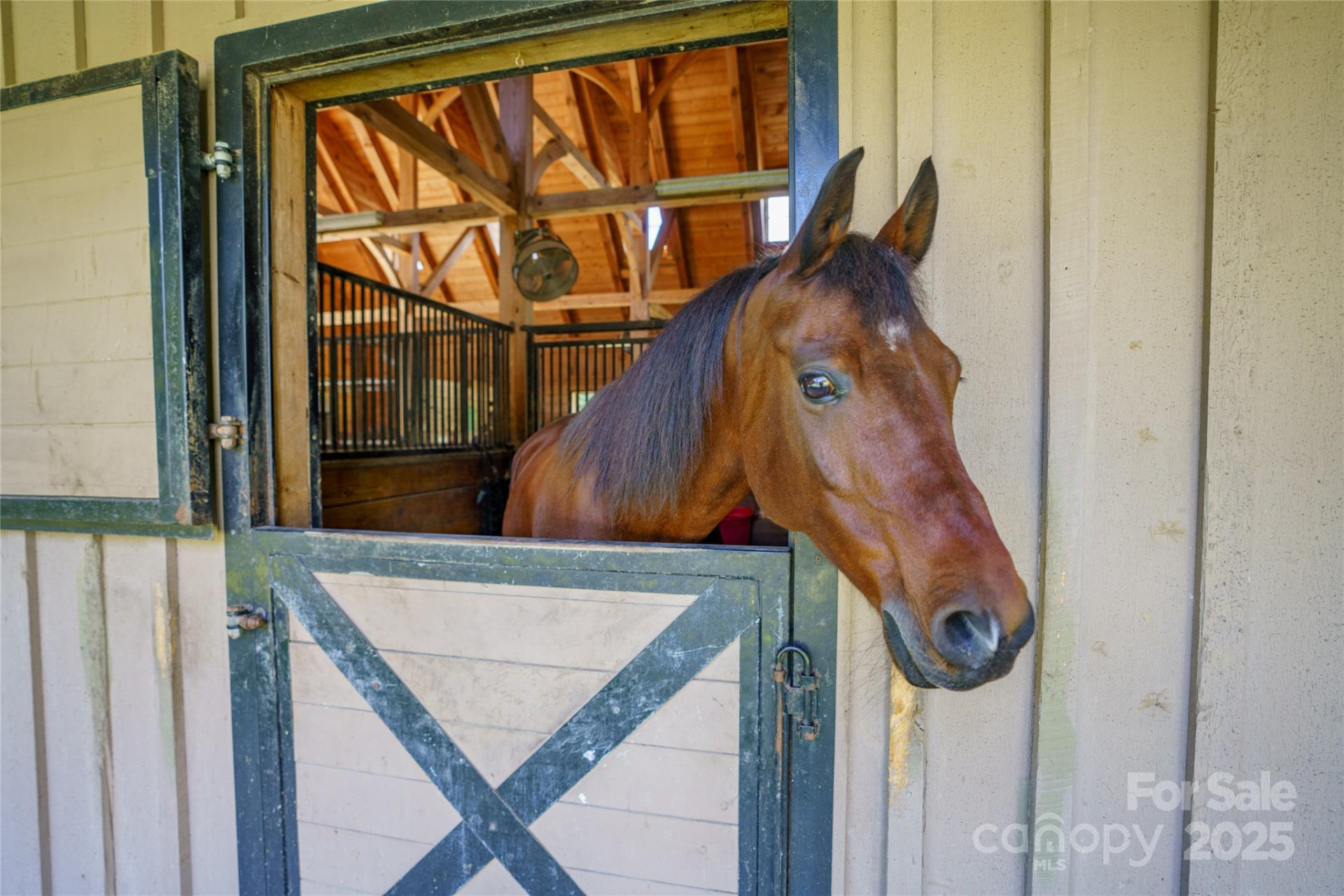 000 Nottingham Drive #237 - Photo 13