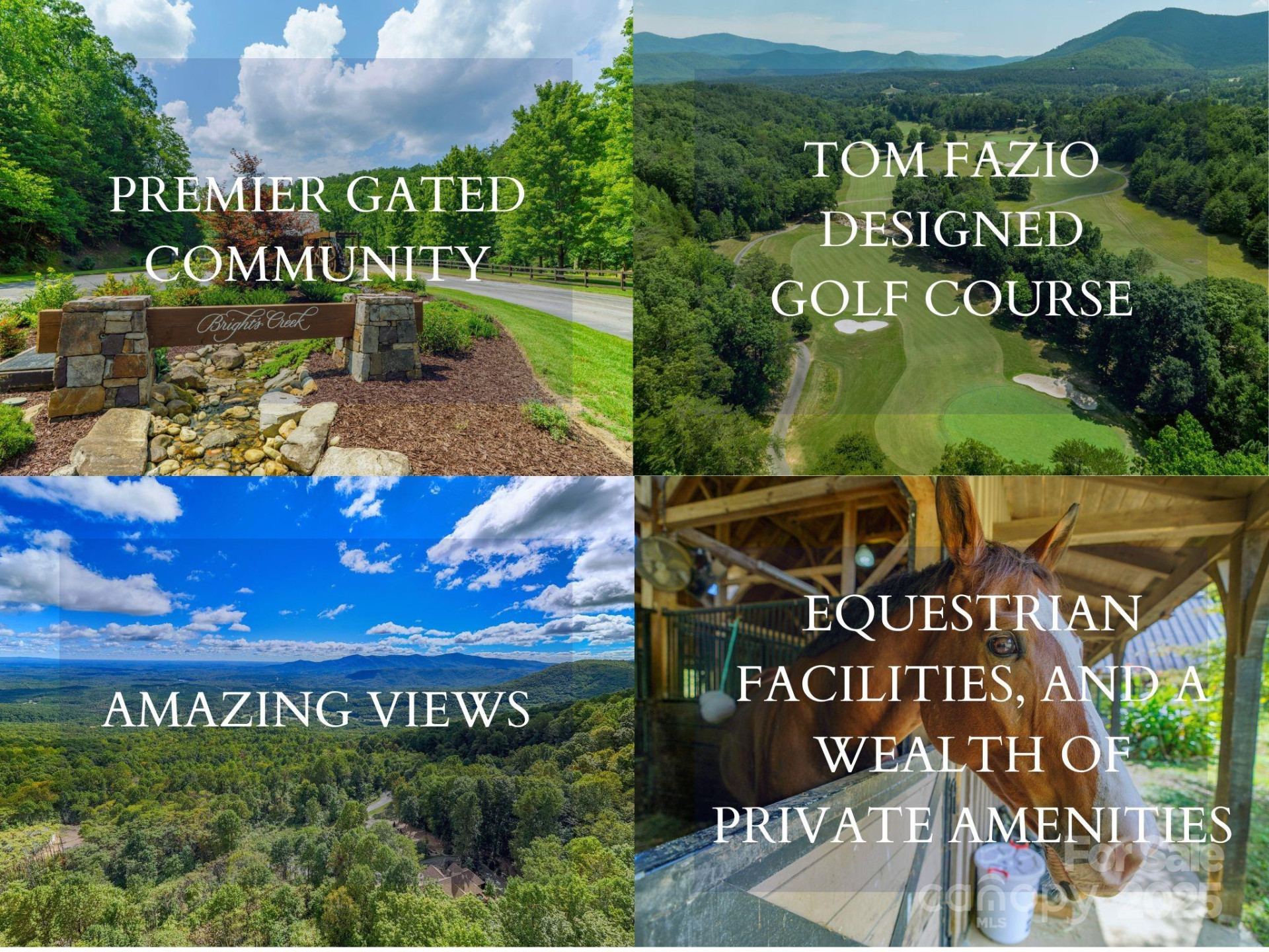 000 Nottingham Drive #237 - Photo 3