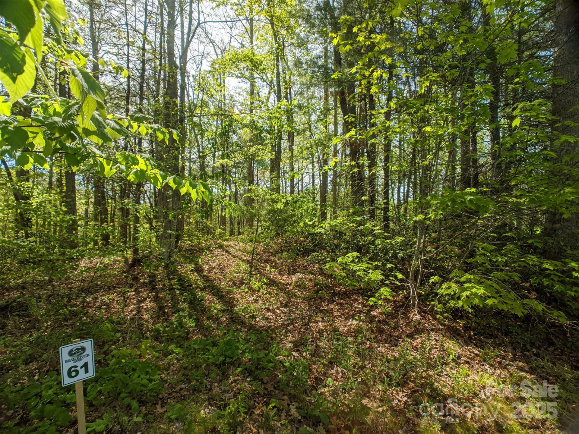 1156 Bear River Lodge Trail #61 - Photo 2