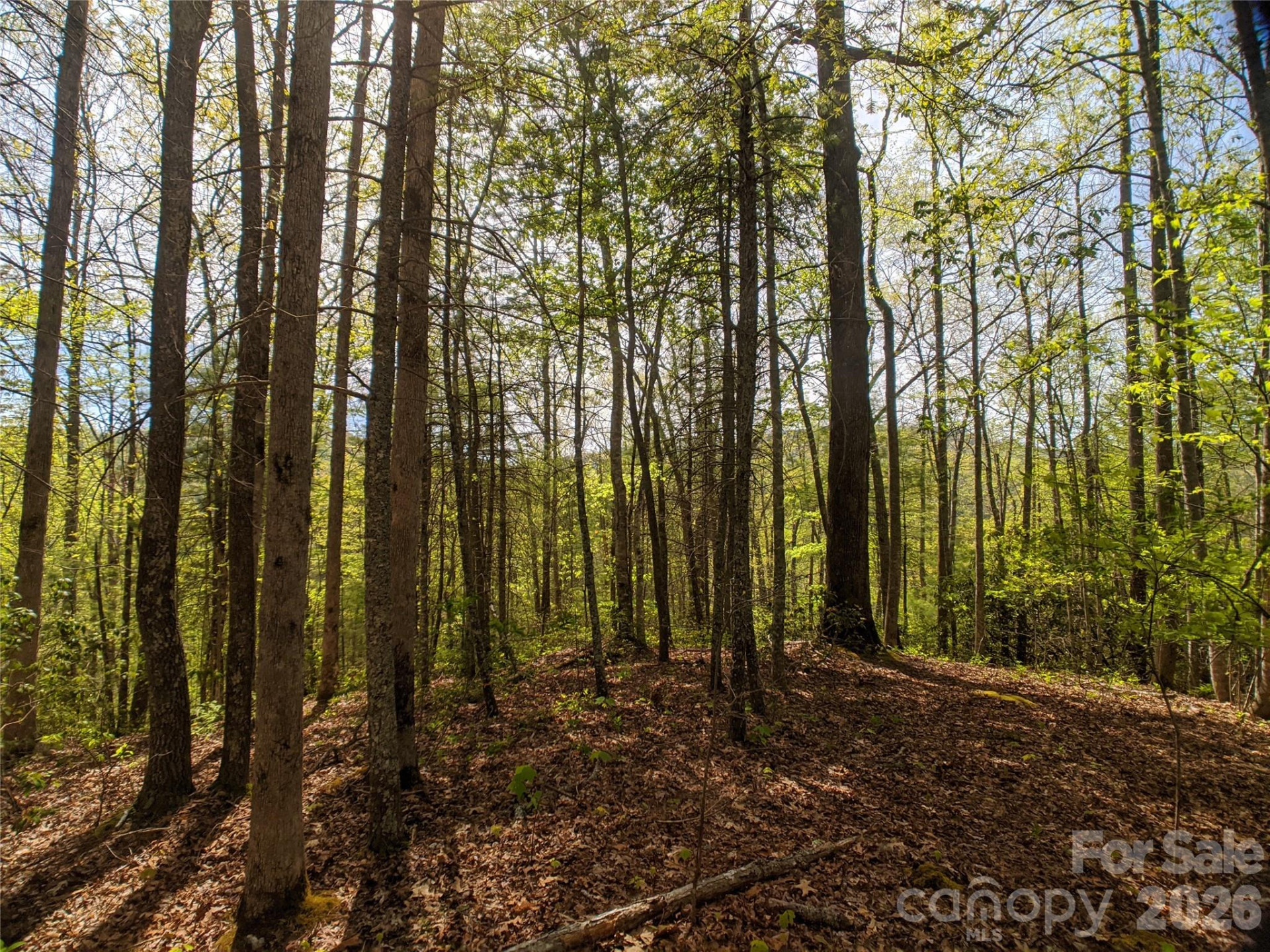 1156 Bear River Lodge Trail #61 - Photo 5