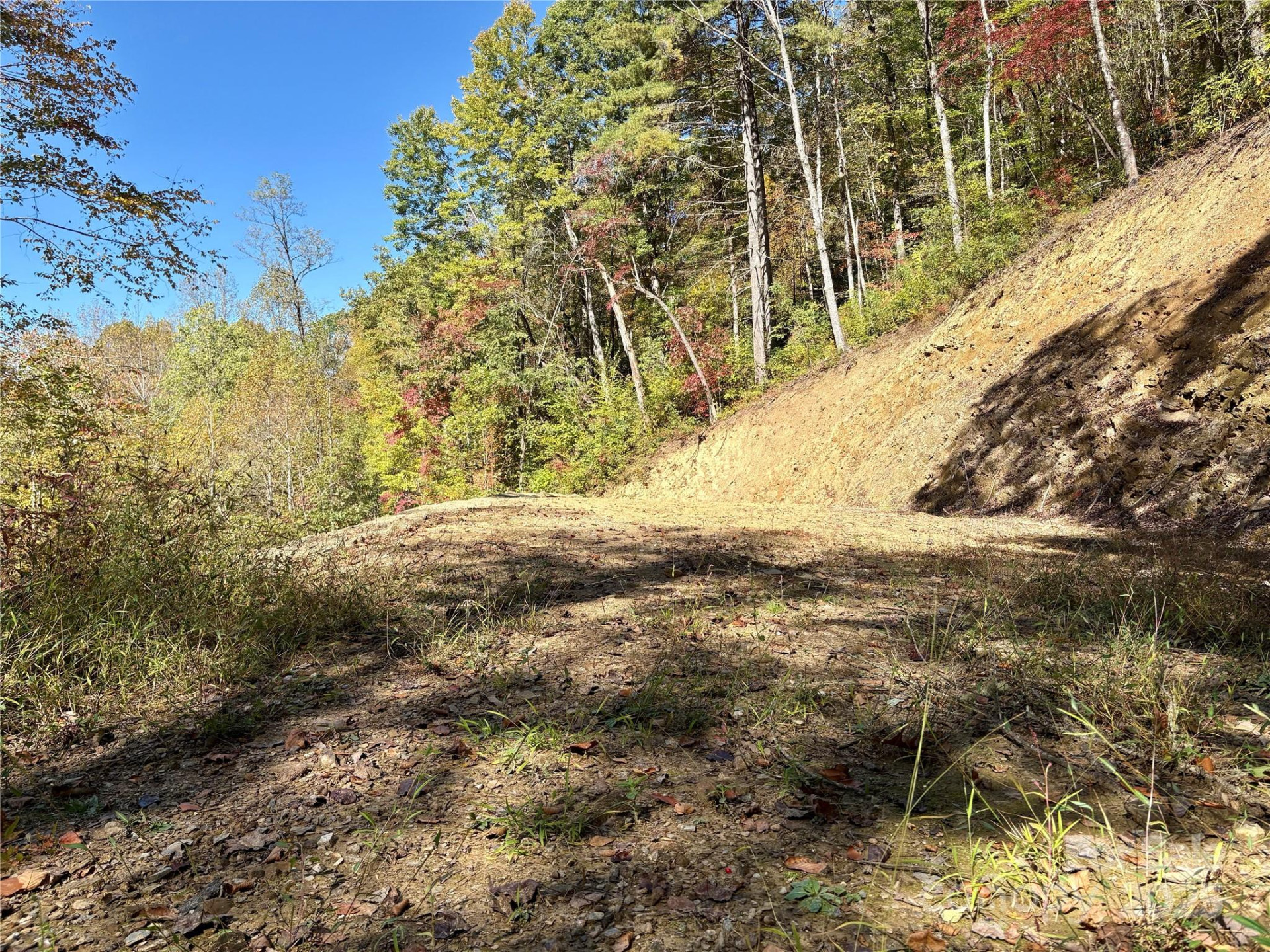 0 Wilkes Road - Photo 6