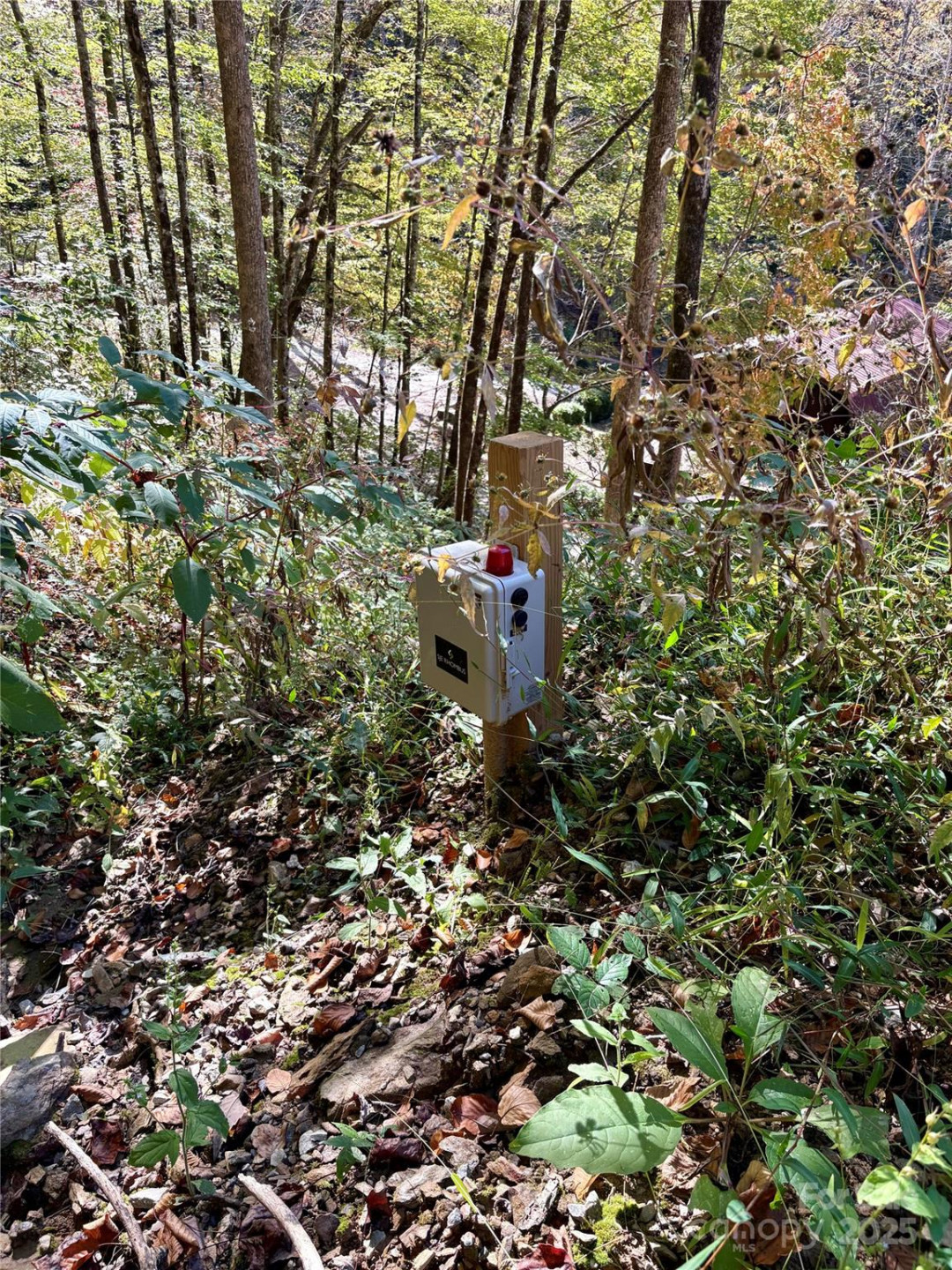 0 Wilkes Road - Photo 7