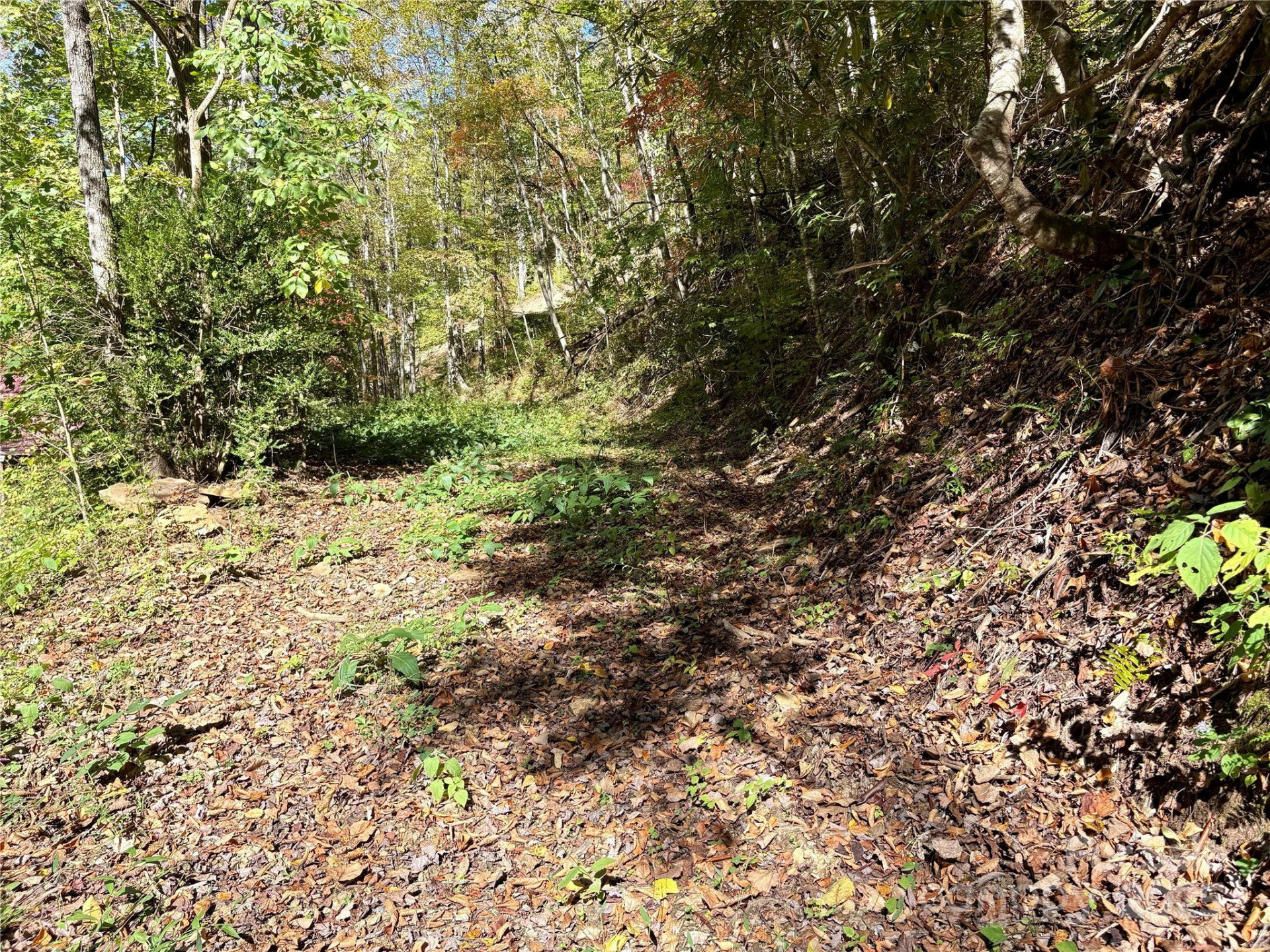 0 Wilkes Road - Photo 9