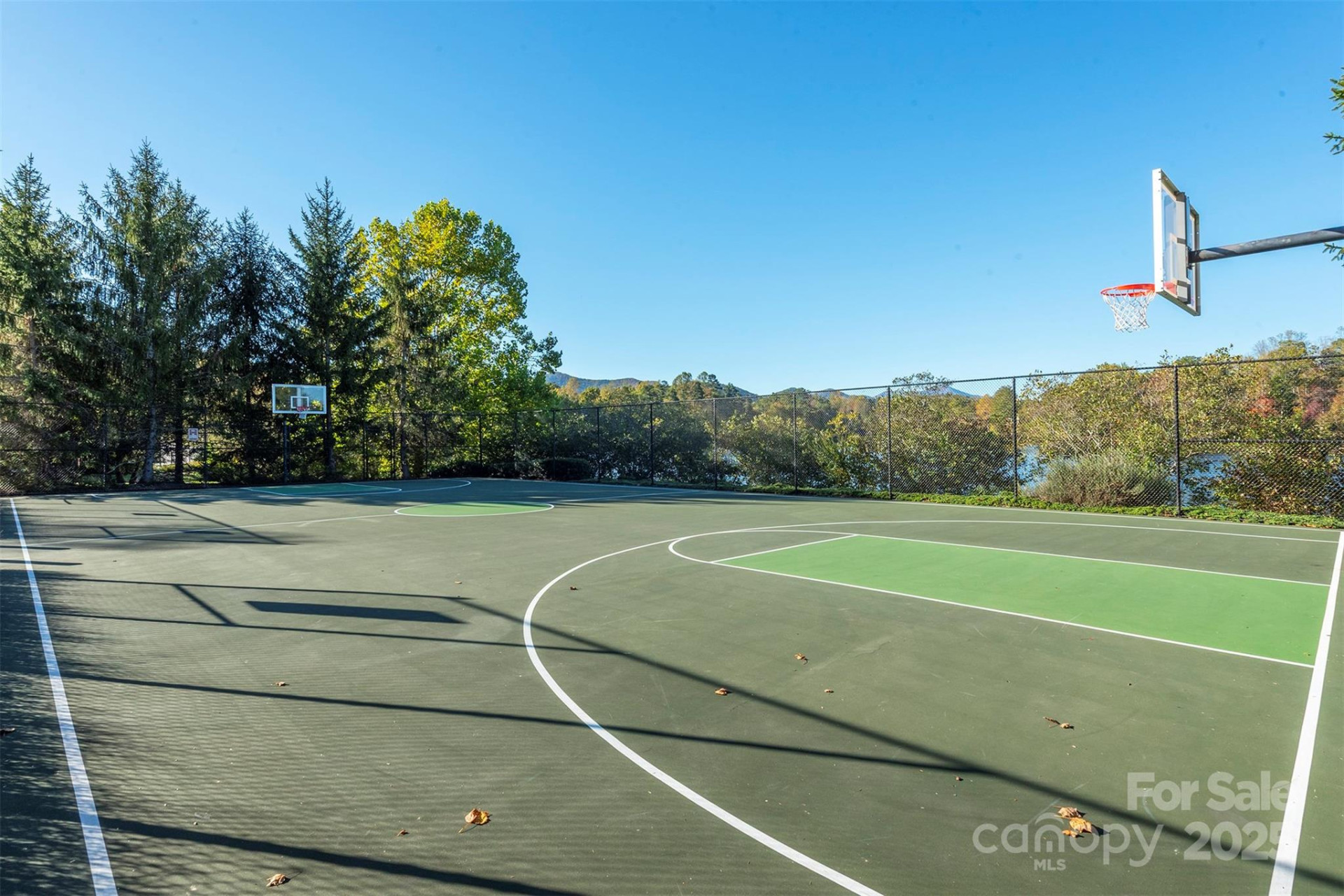 4 Yellow Owl Court - Photo 42