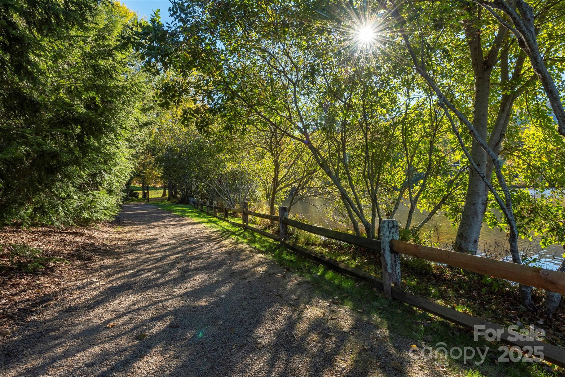 4 Yellow Owl Court - Photo 44