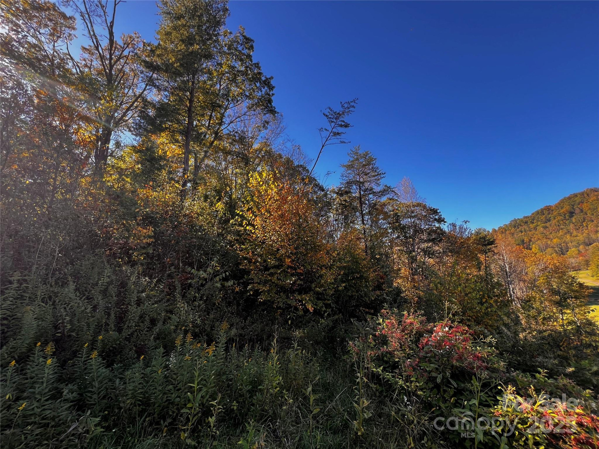 00 Club Drive #4 - Photo 2