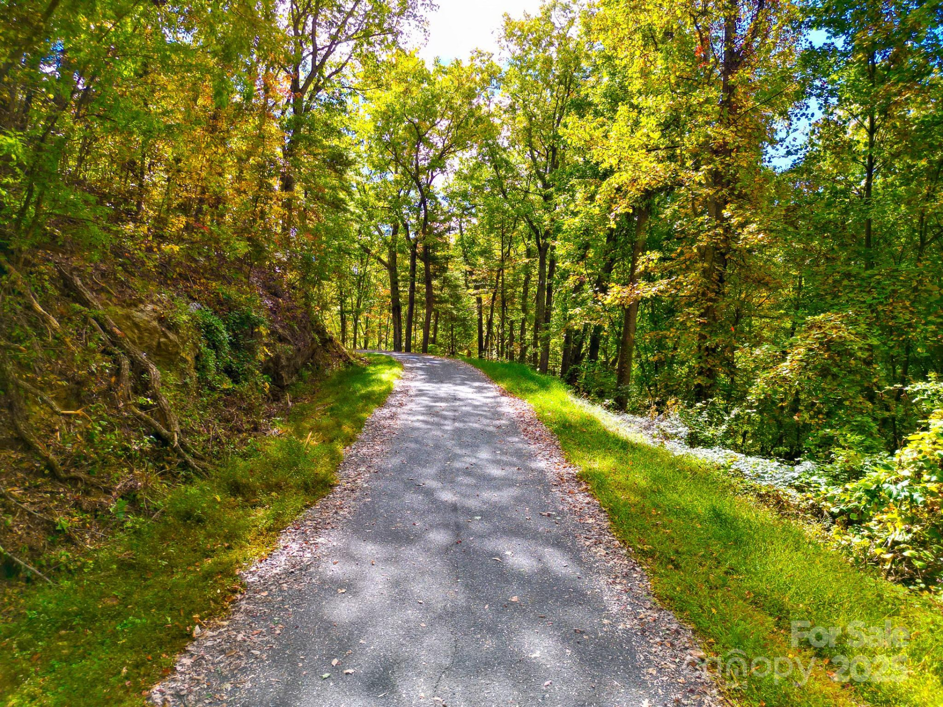 443 Glen Valley Drive - Photo 14