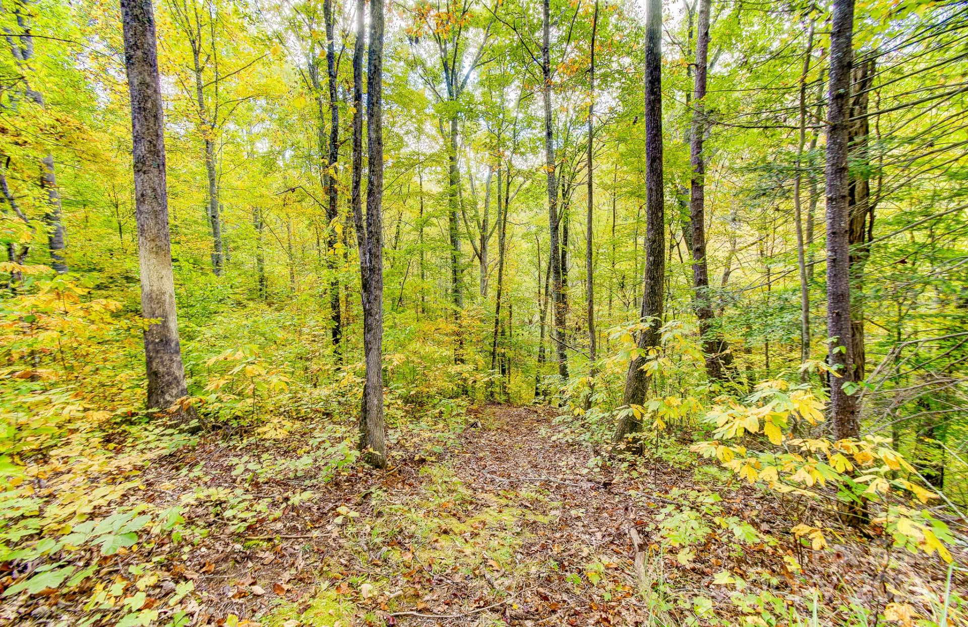 443 Glen Valley Drive - Photo 3