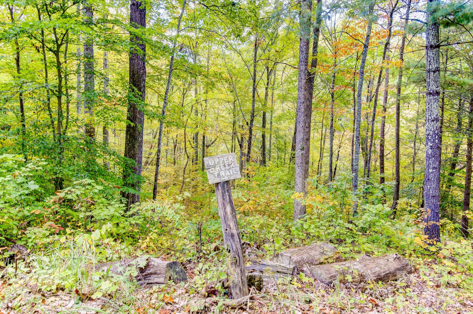 443 Glen Valley Drive - Photo 4