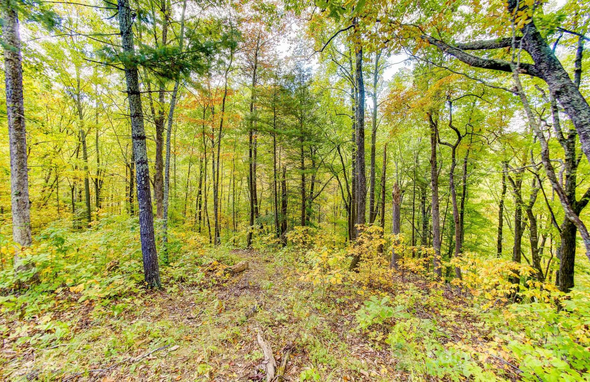 443 Glen Valley Drive - Photo 5