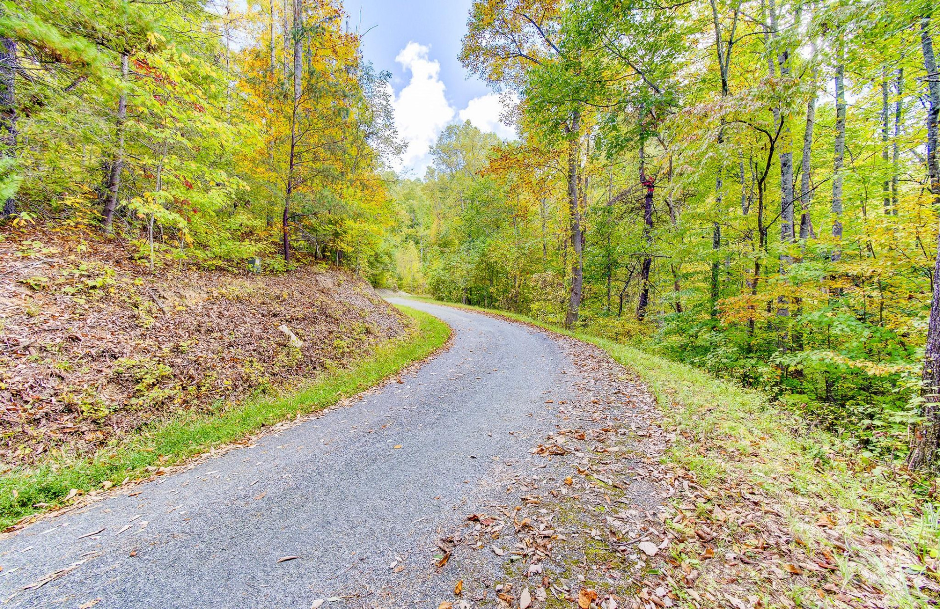 443 Glen Valley Drive - Photo 6