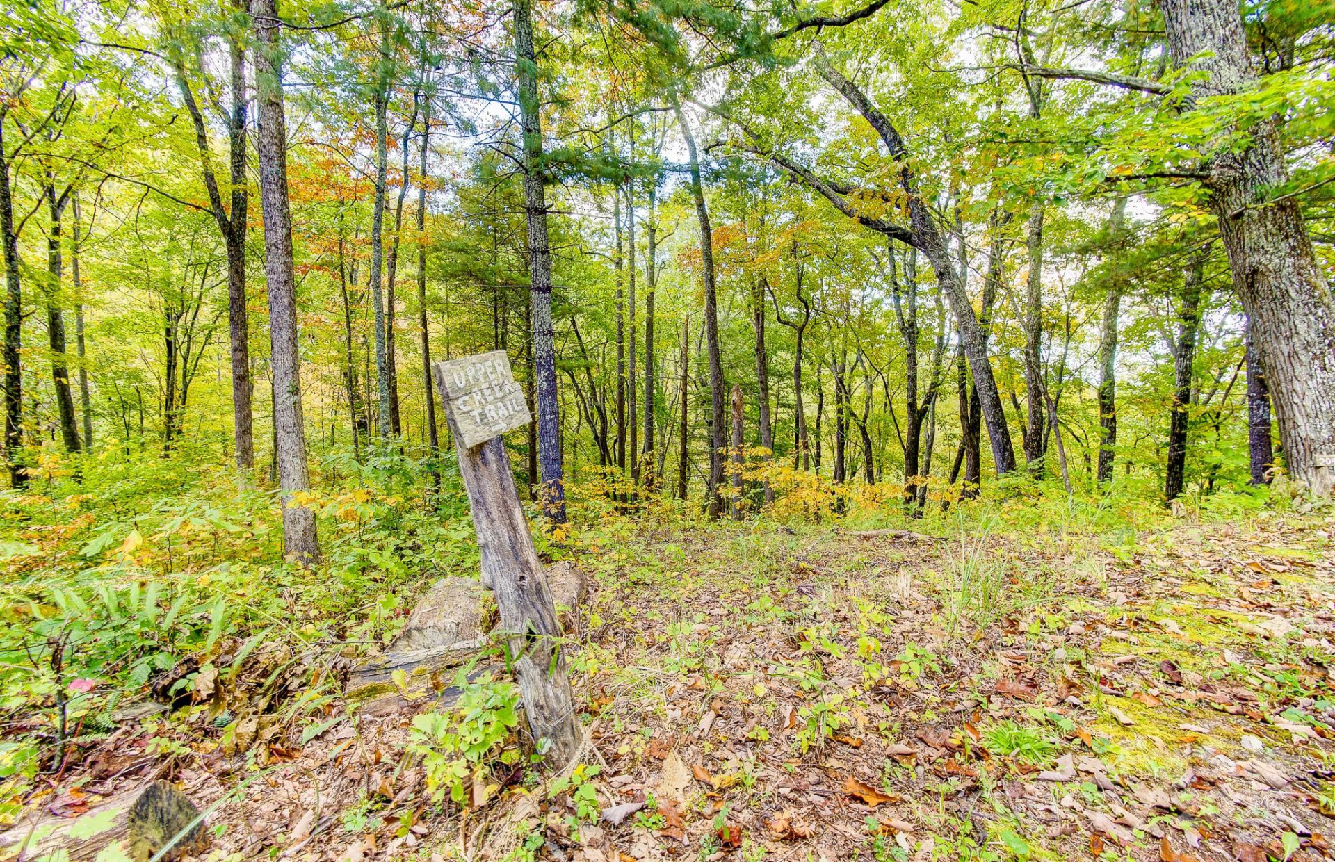 443 Glen Valley Drive - Photo 9