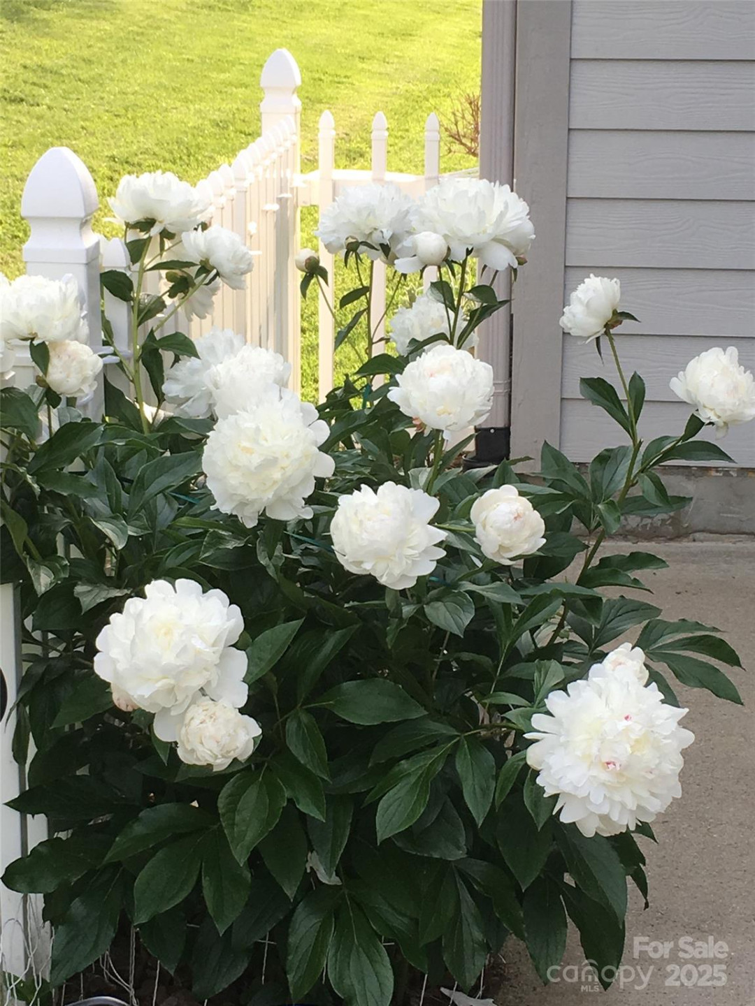 23 Holiday Drive - Photo 31