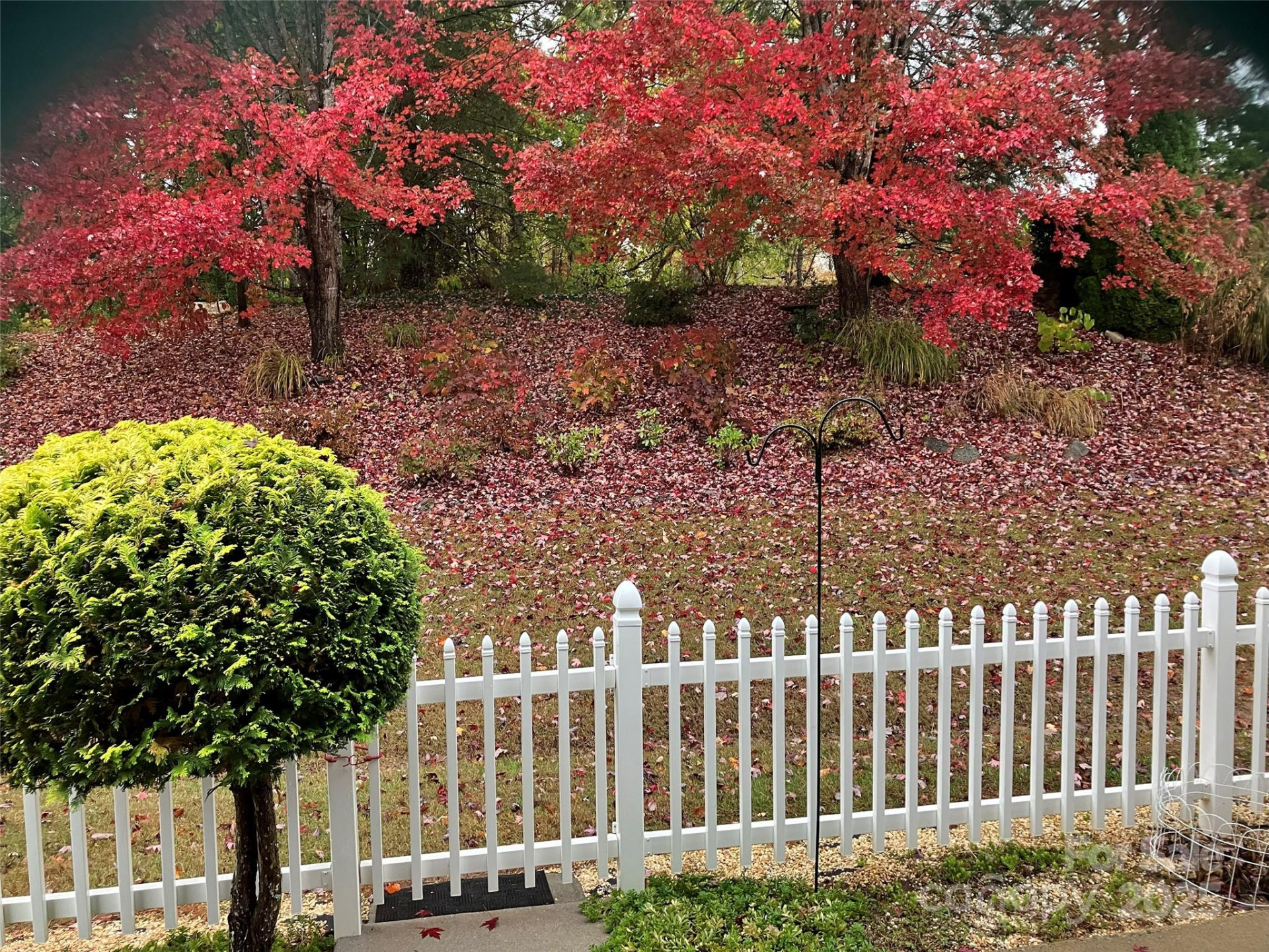 23 Holiday Drive - Photo 6