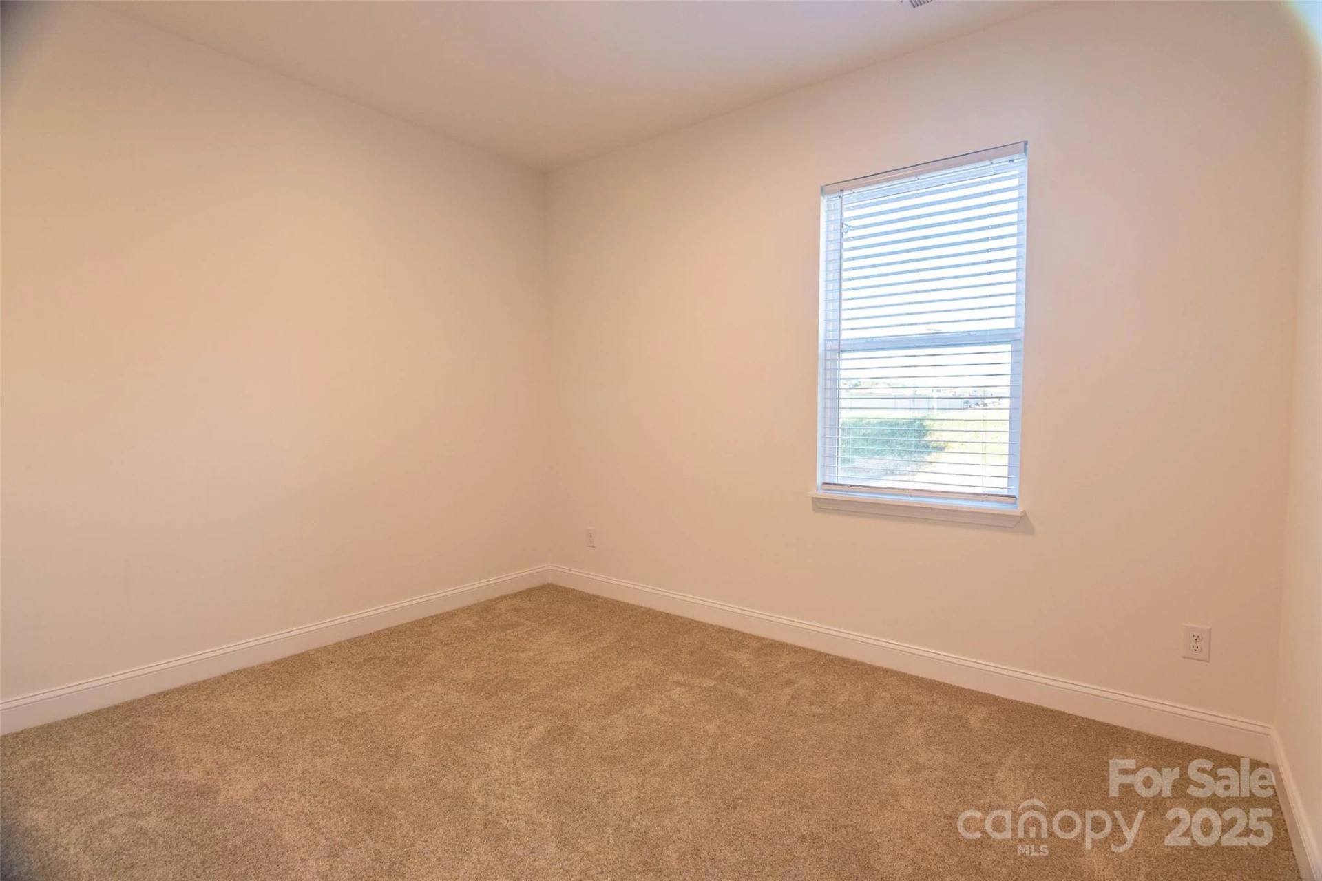 719 Smith Street - Photo 19