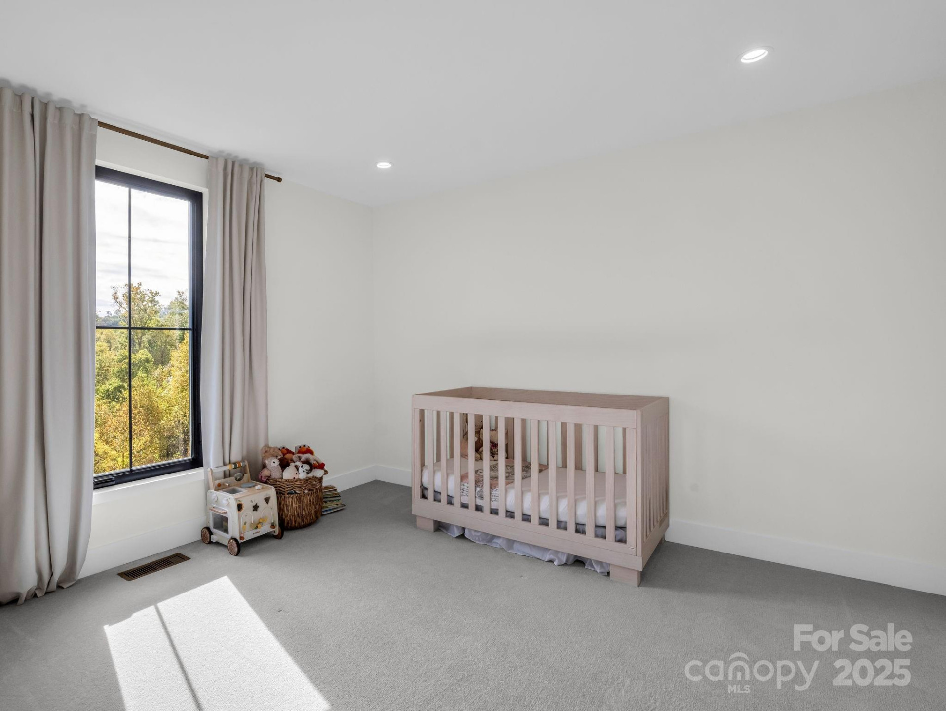 123 Millbrae Loop - Photo 41