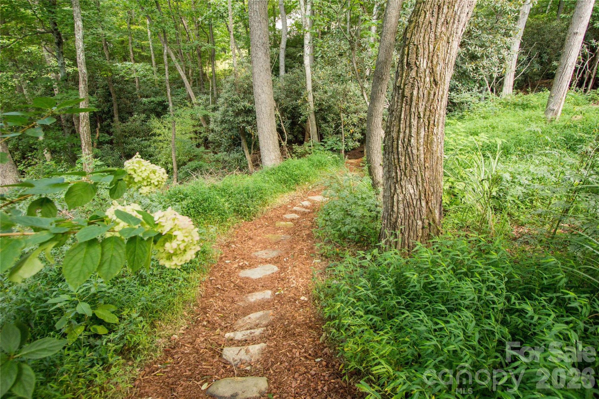 56 Windover Drive - Photo 42