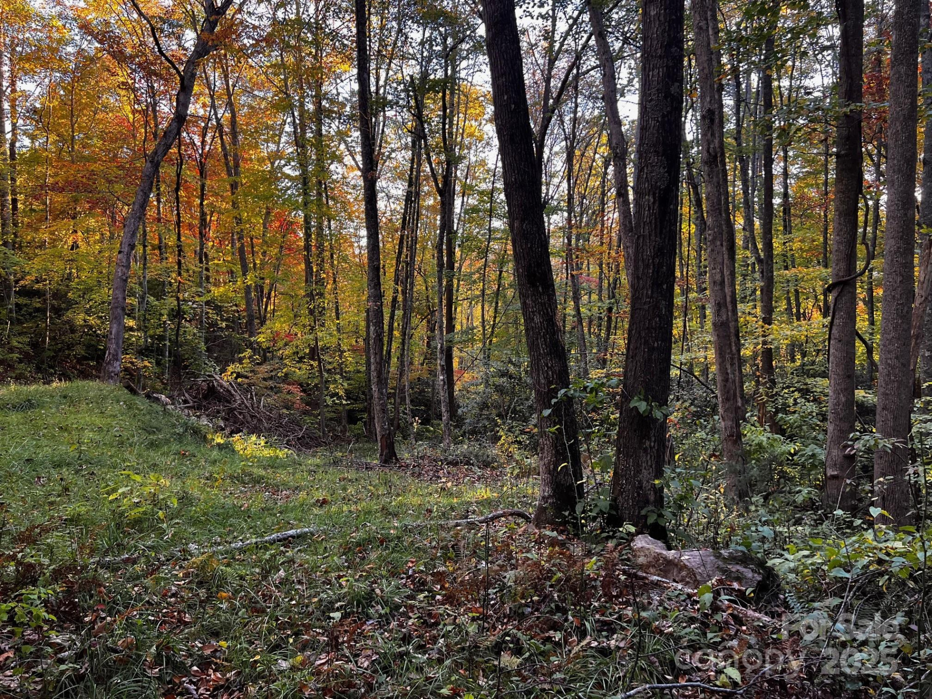 00 Rocky Face Drive #22 - Photo 2