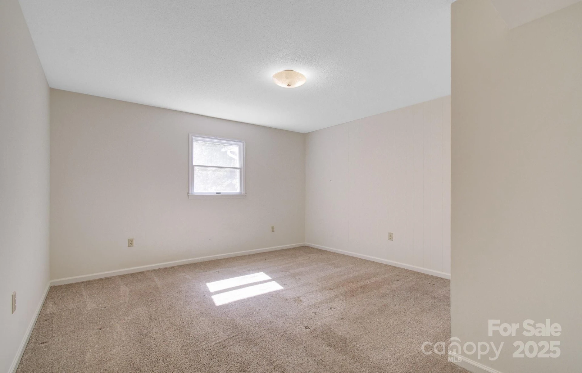 200 Riley Lane - Photo 30