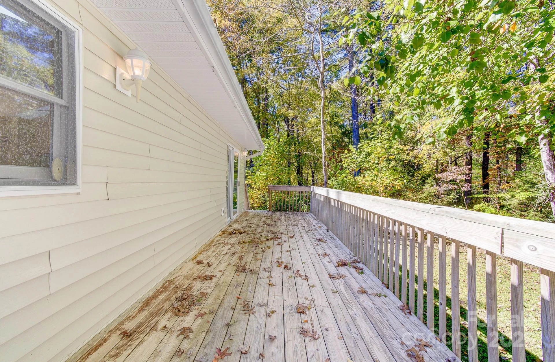 200 Riley Lane - Photo 36