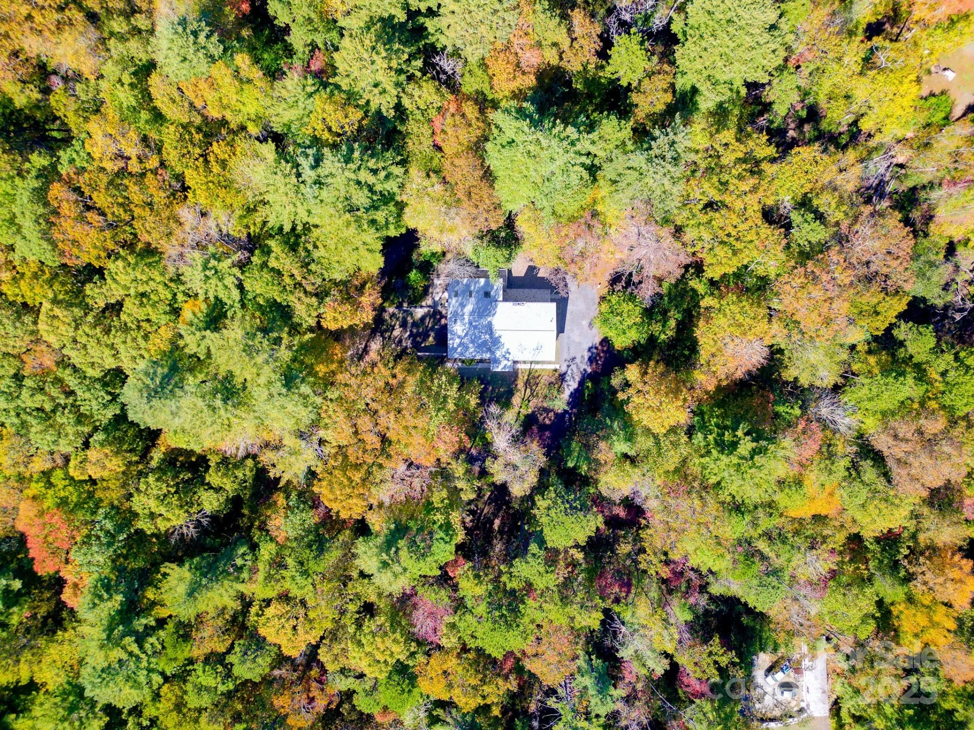 200 Riley Lane - Photo 45