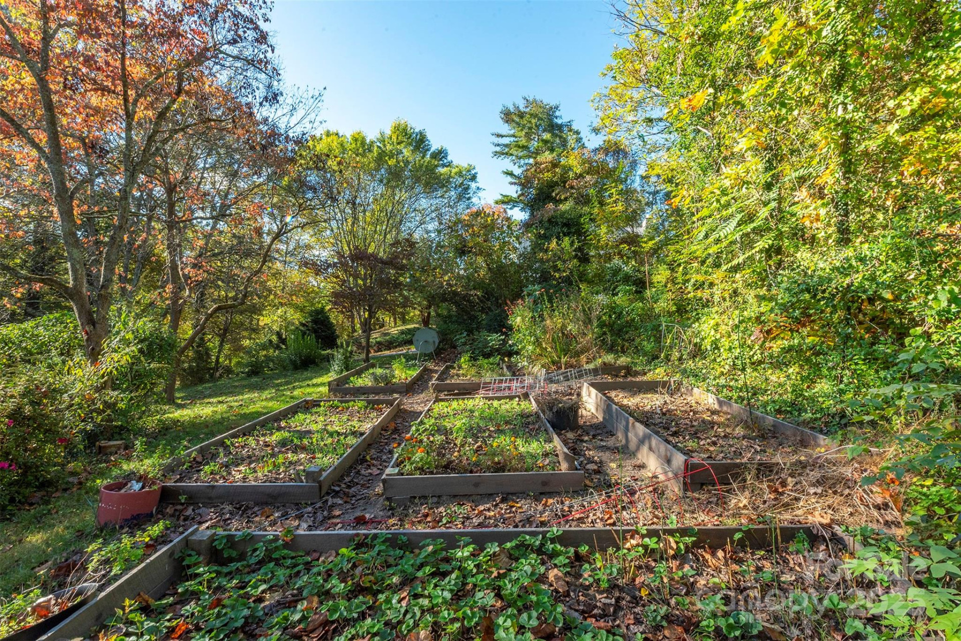 436 New Haw Creek Road - Photo 9