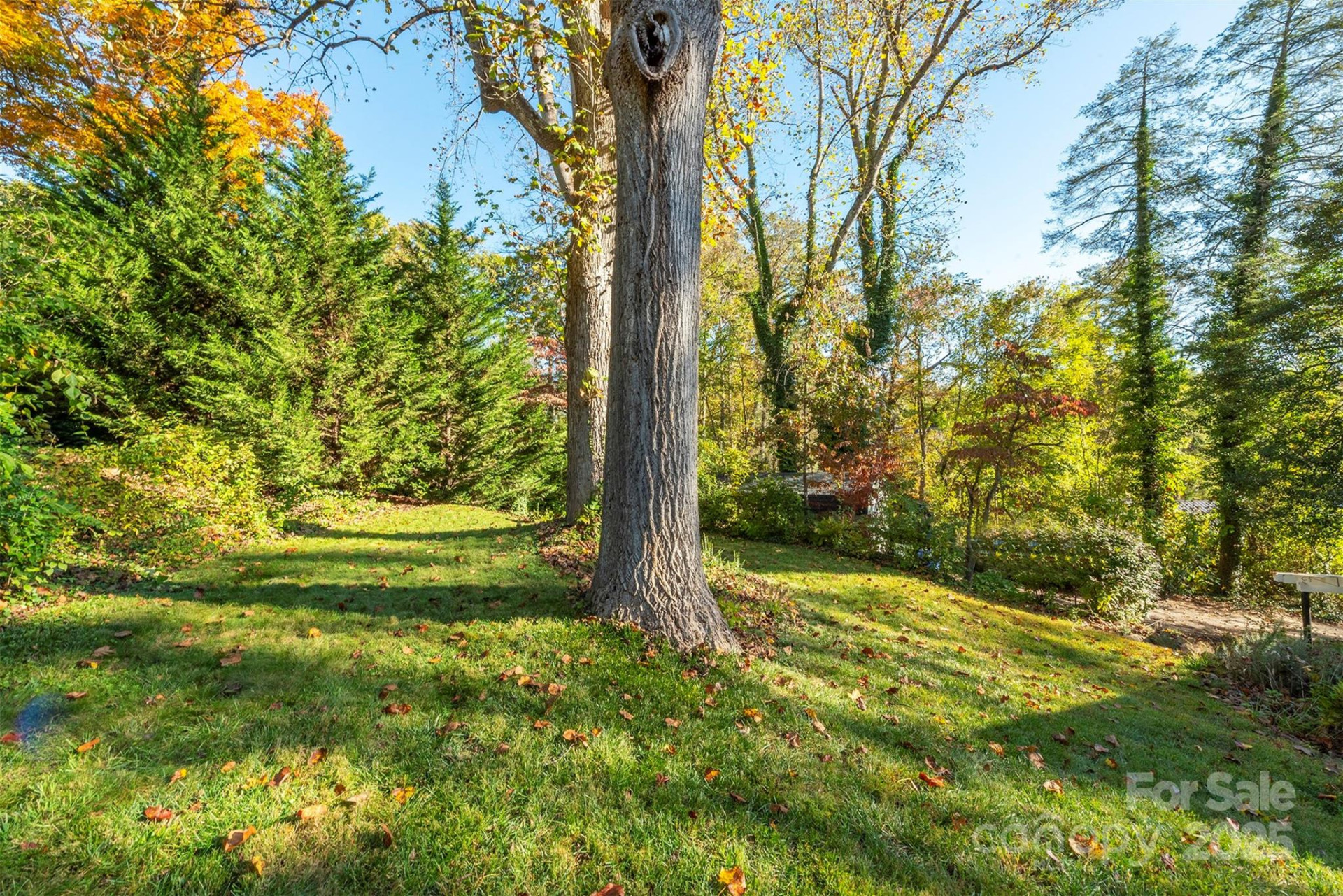436 New Haw Creek Road - Photo 10