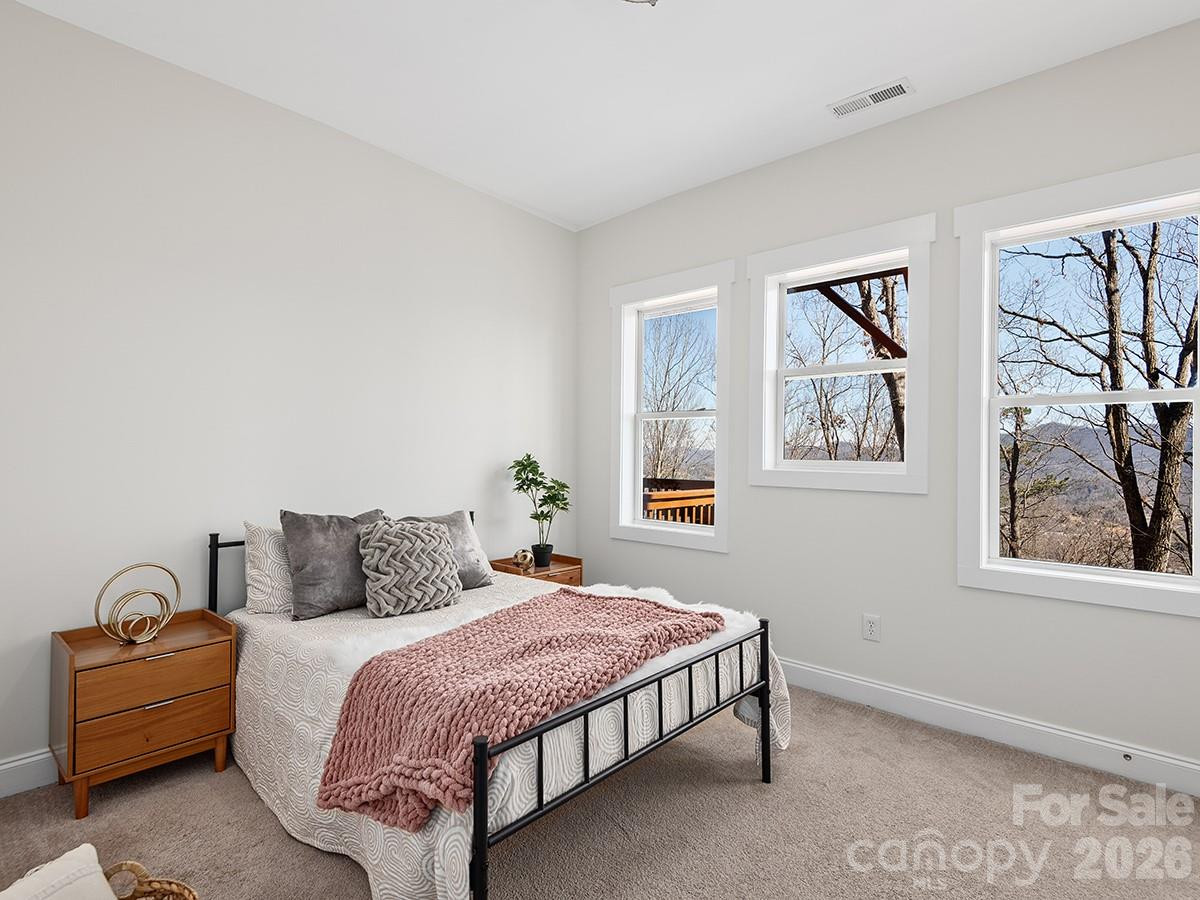 72 Wildflower Mountain Trail - Photo 24