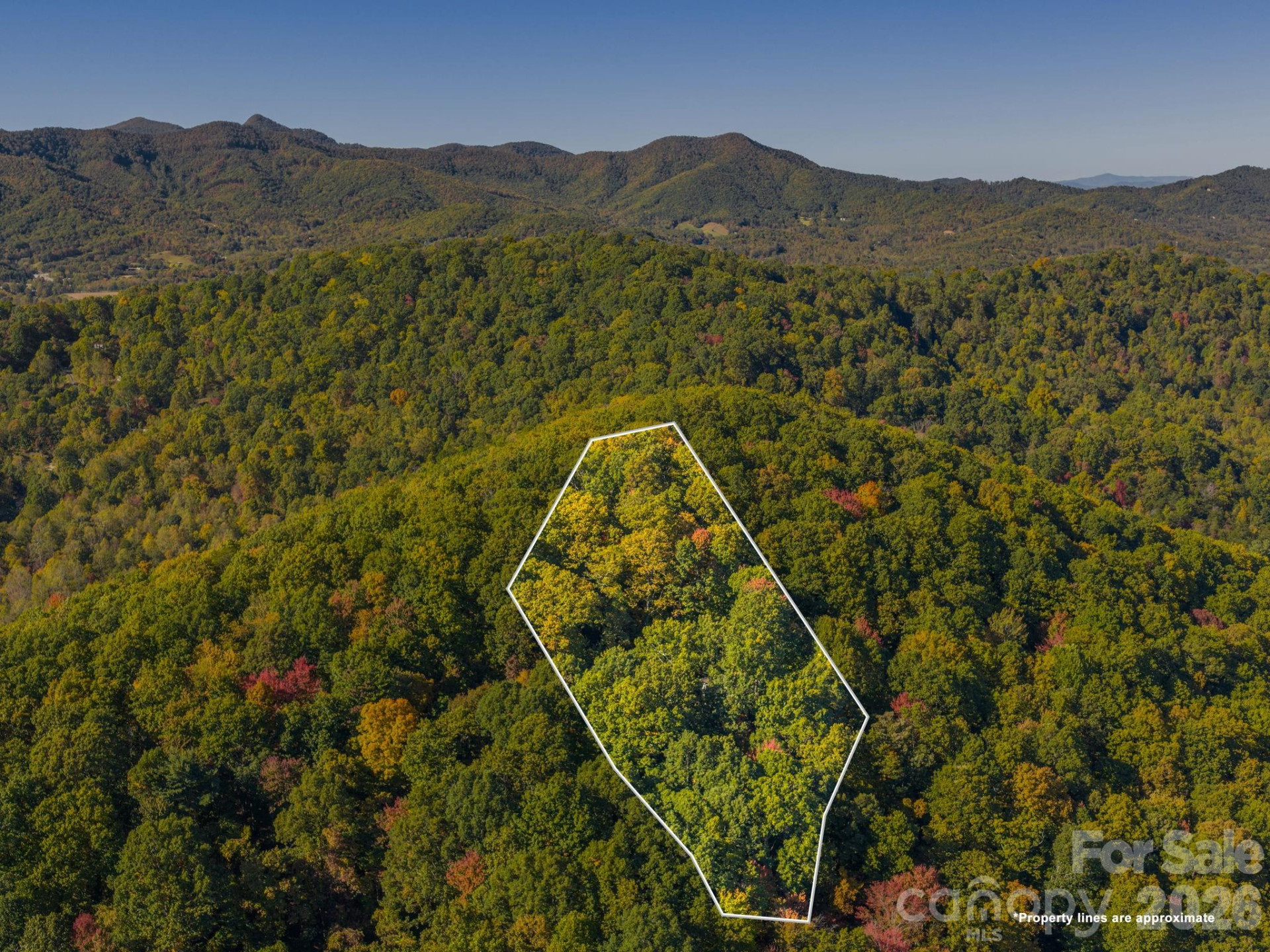 72 Wildflower Mountain Trail - Photo 26