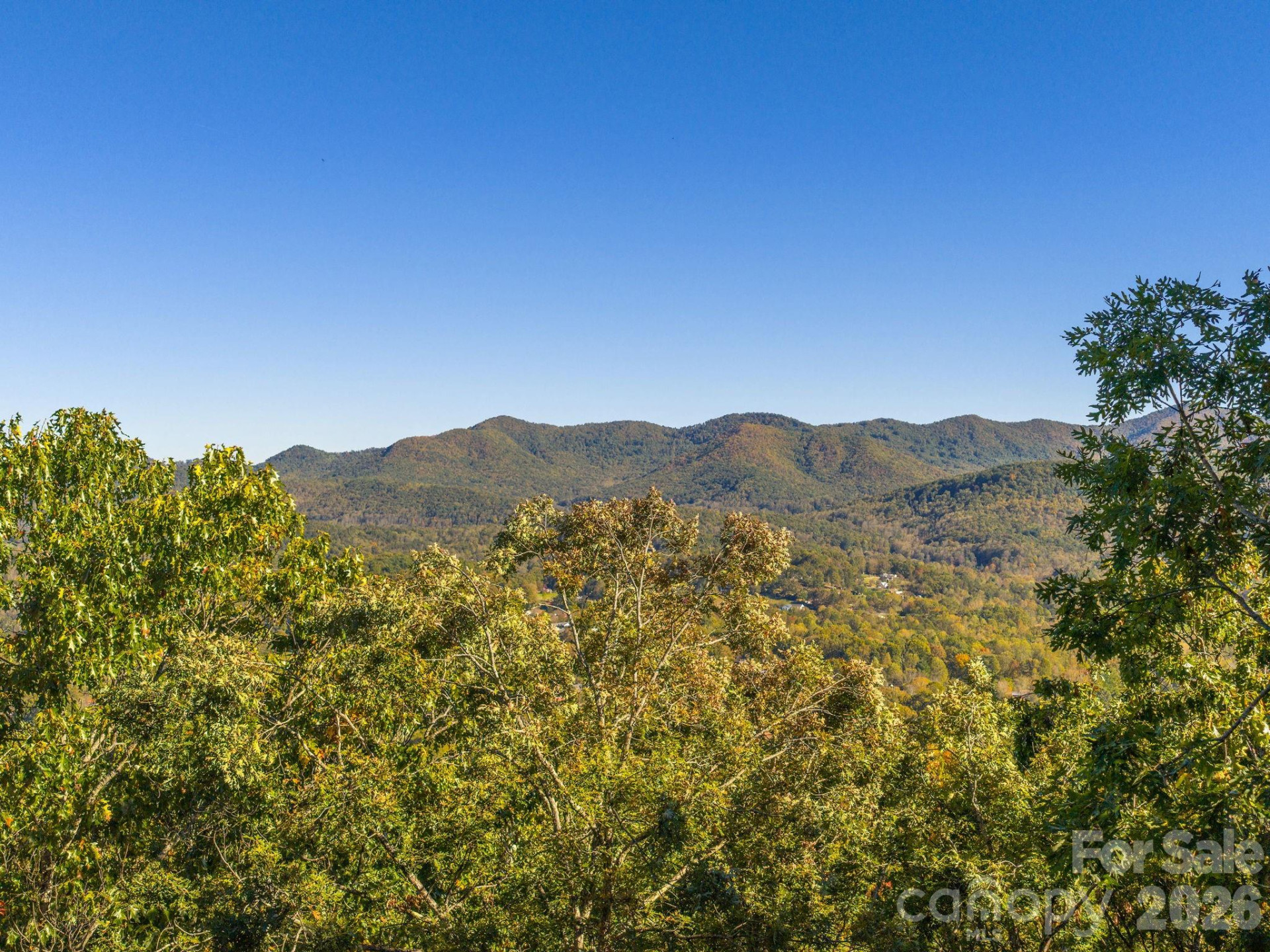 72 Wildflower Mountain Trail - Photo 28