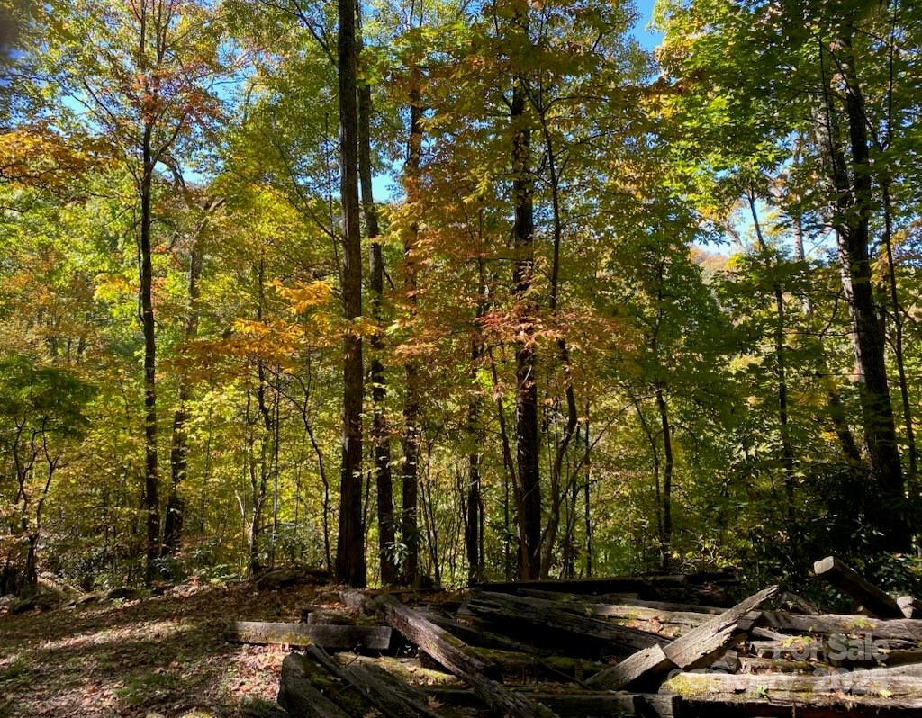 Lot A38 Tawodi Trail