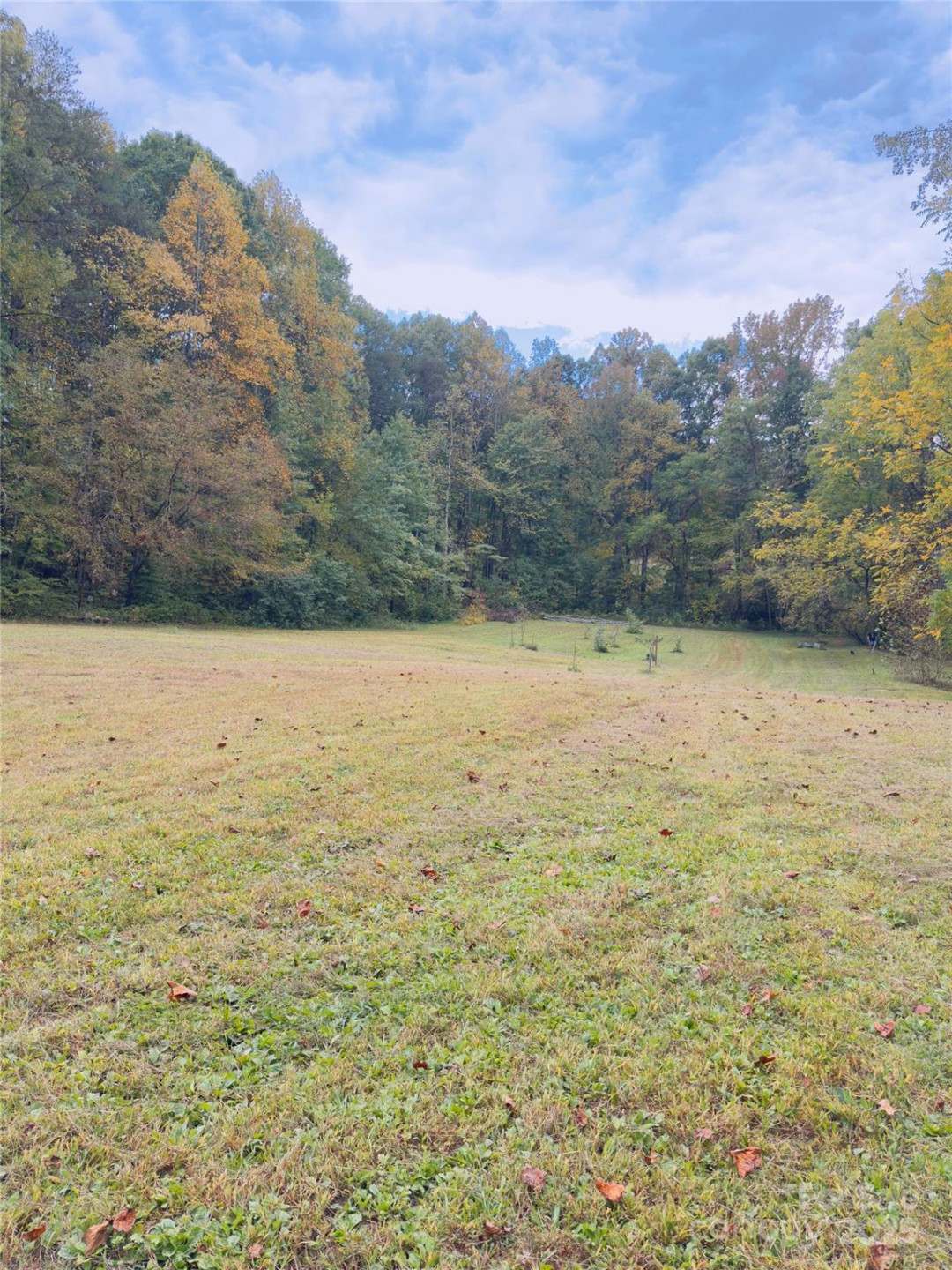 6091 Nowlings Chapel Road - Photo 7