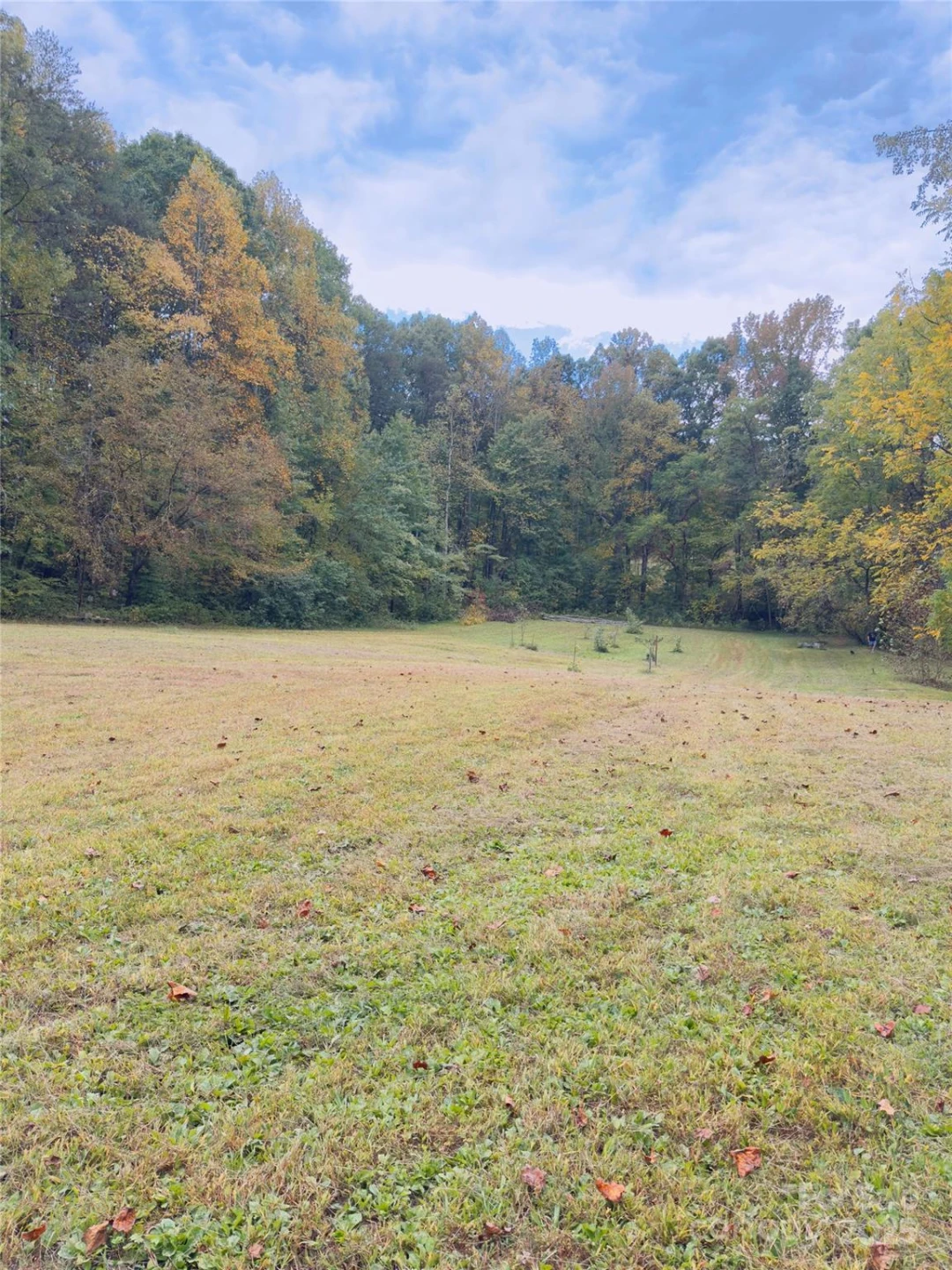 6091 Nowlings Chapel Road - Photo 7