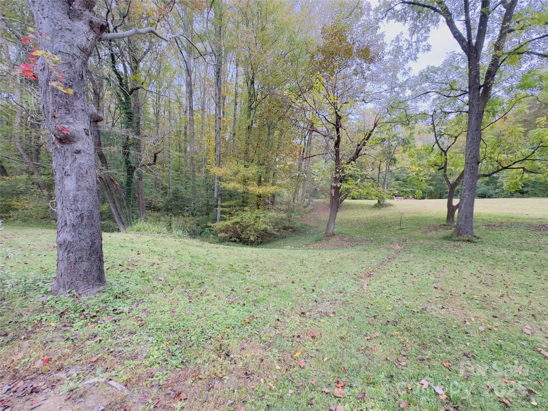 6091 Nowlings Chapel Road - Photo 9