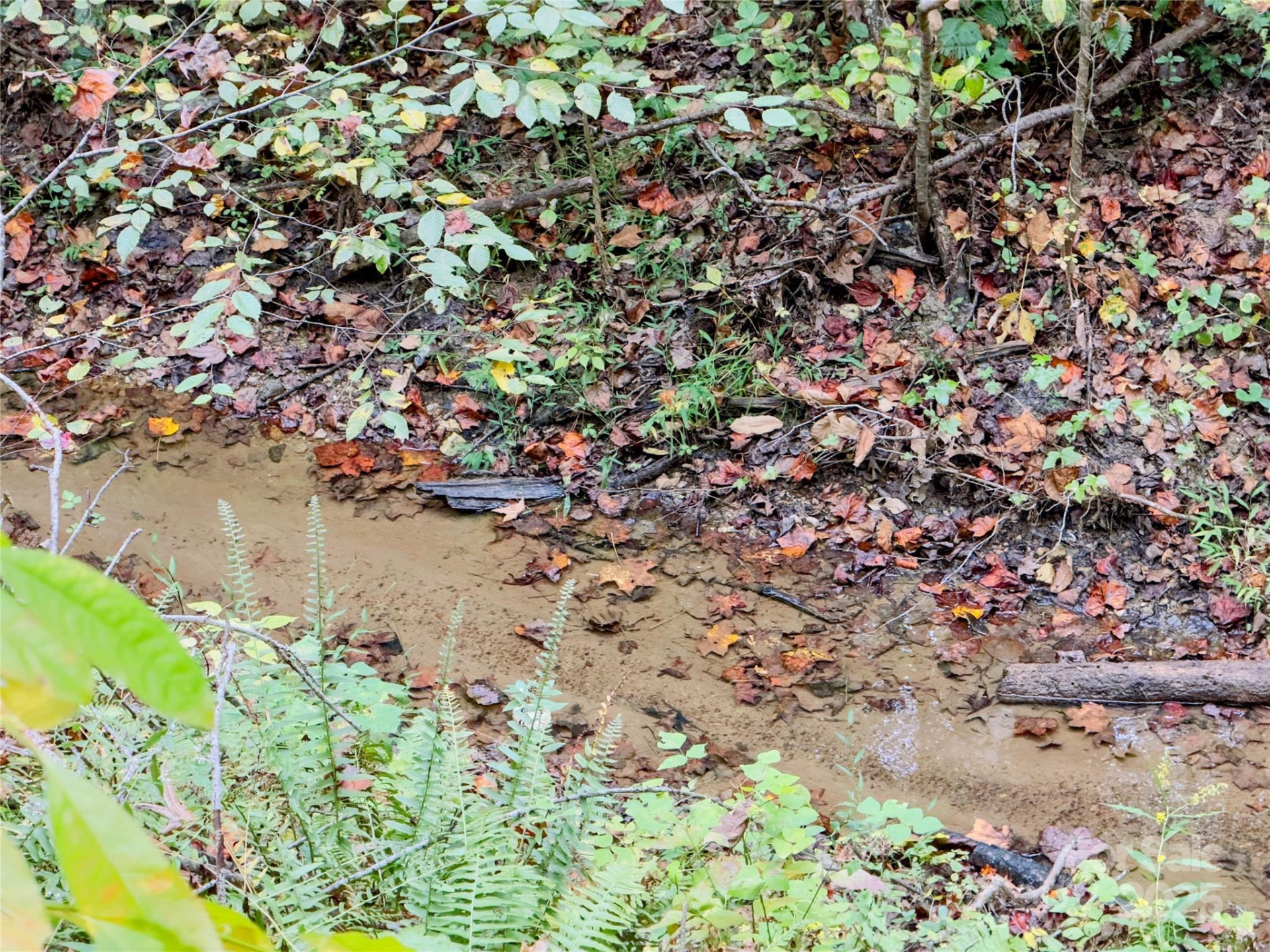 6091 Nowlings Chapel Road - Photo 10